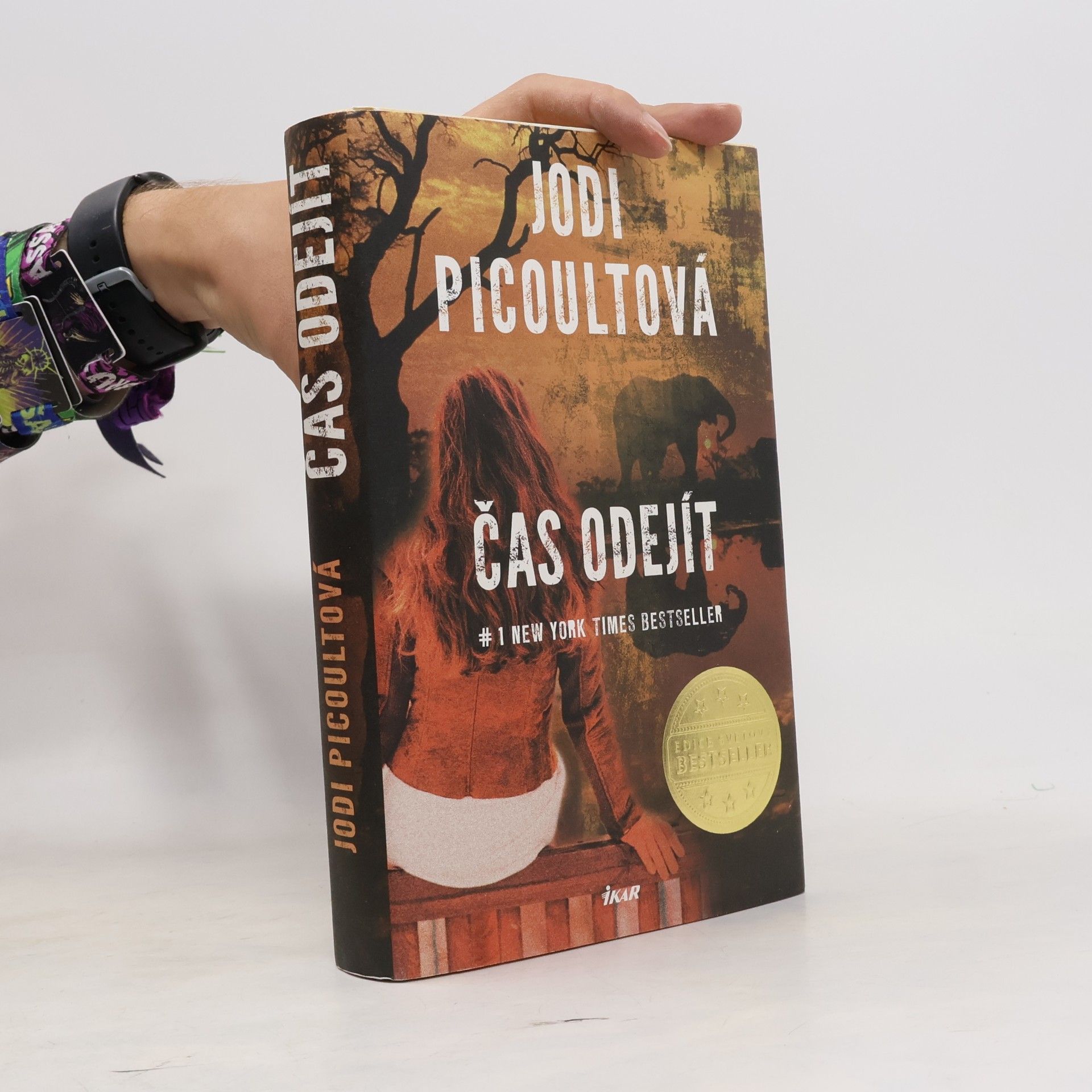 Jodi Picoult Čas odejít