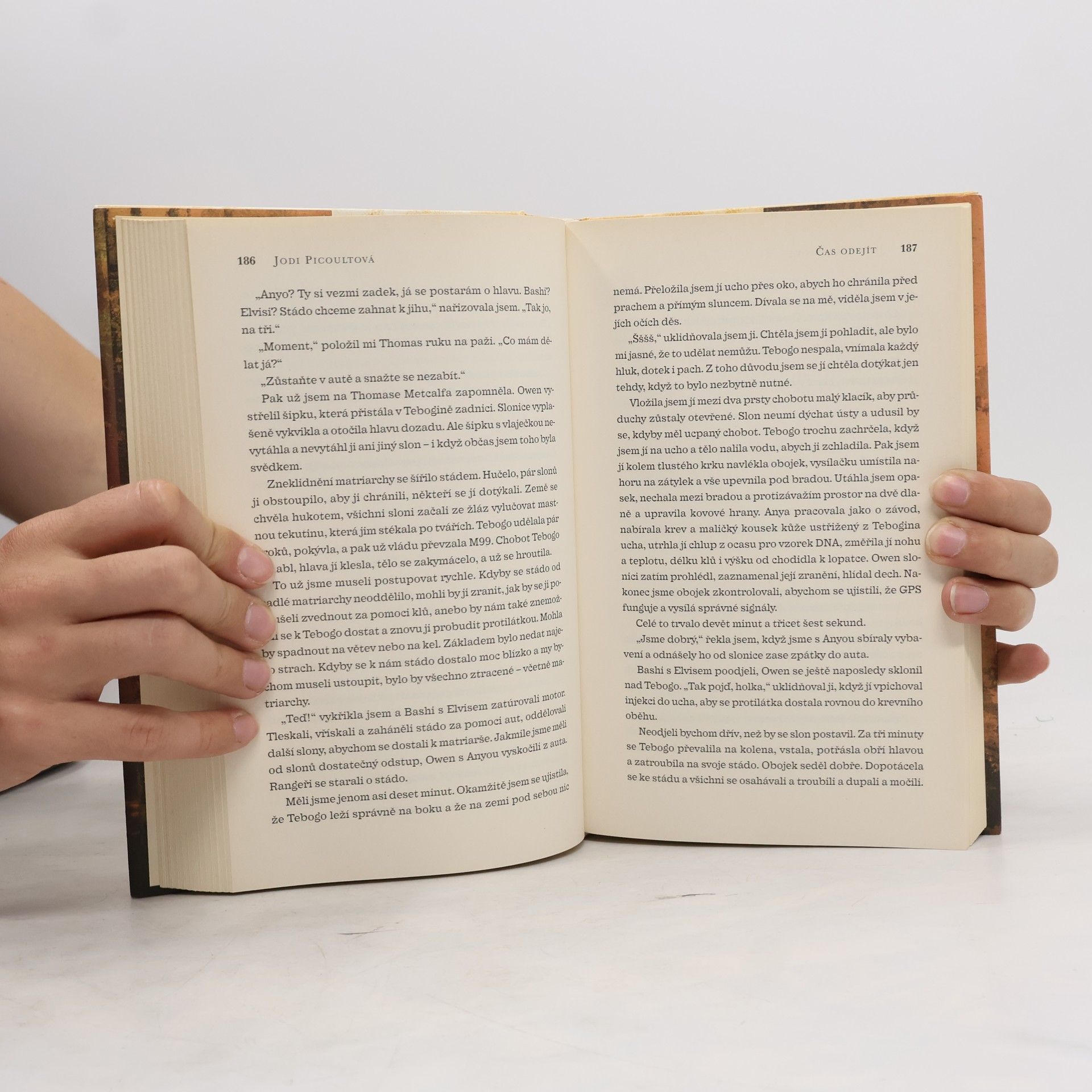 Jodi Picoult Čas odejít