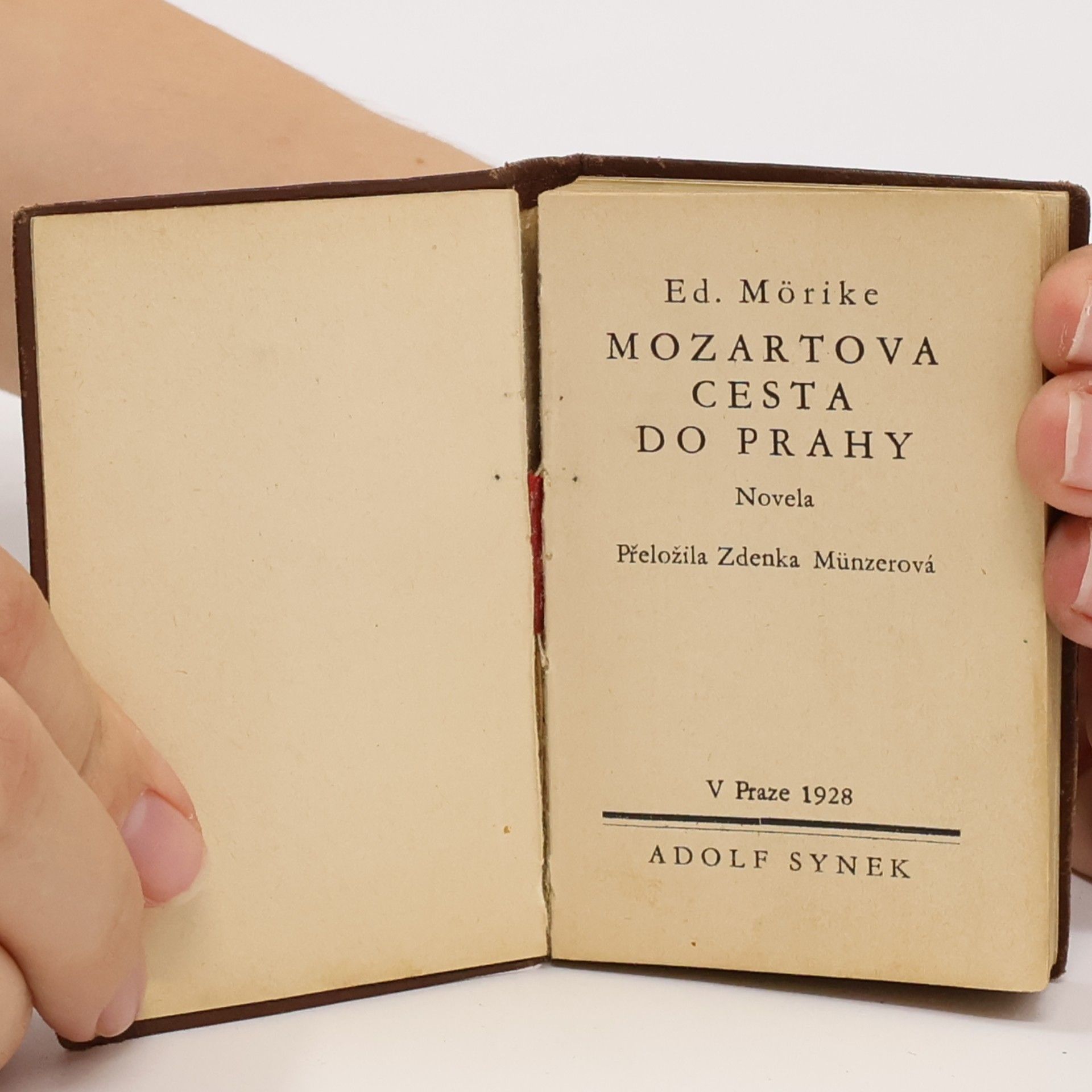 Eduard Mörike Mozartova cesta do Prahy