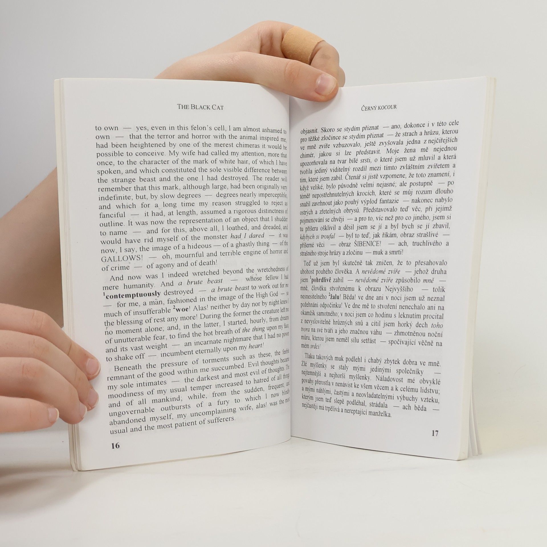 Edgar Allan Poe Fantastic tales. Fantastické příběhy
