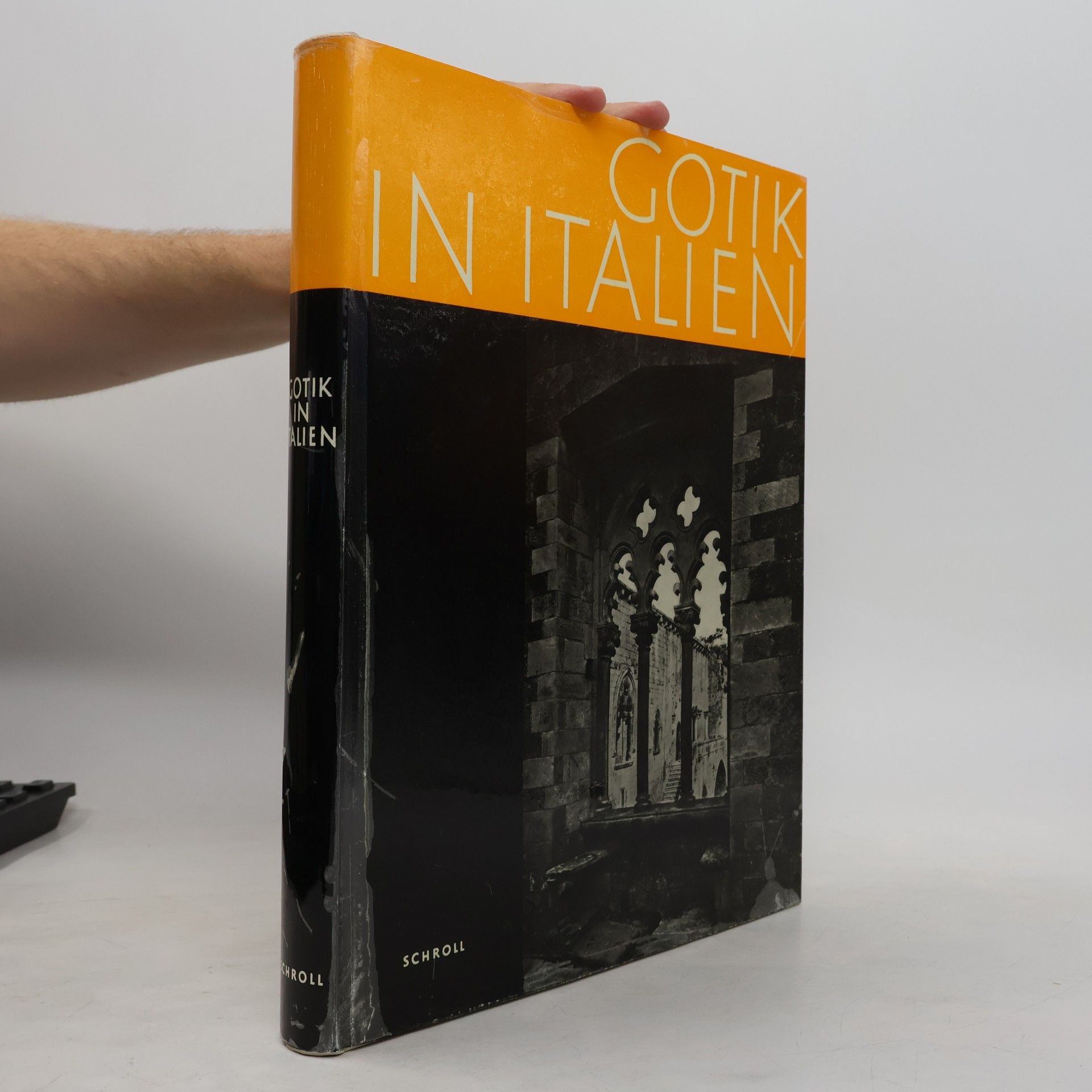 AA.VV. Gotik in Italien