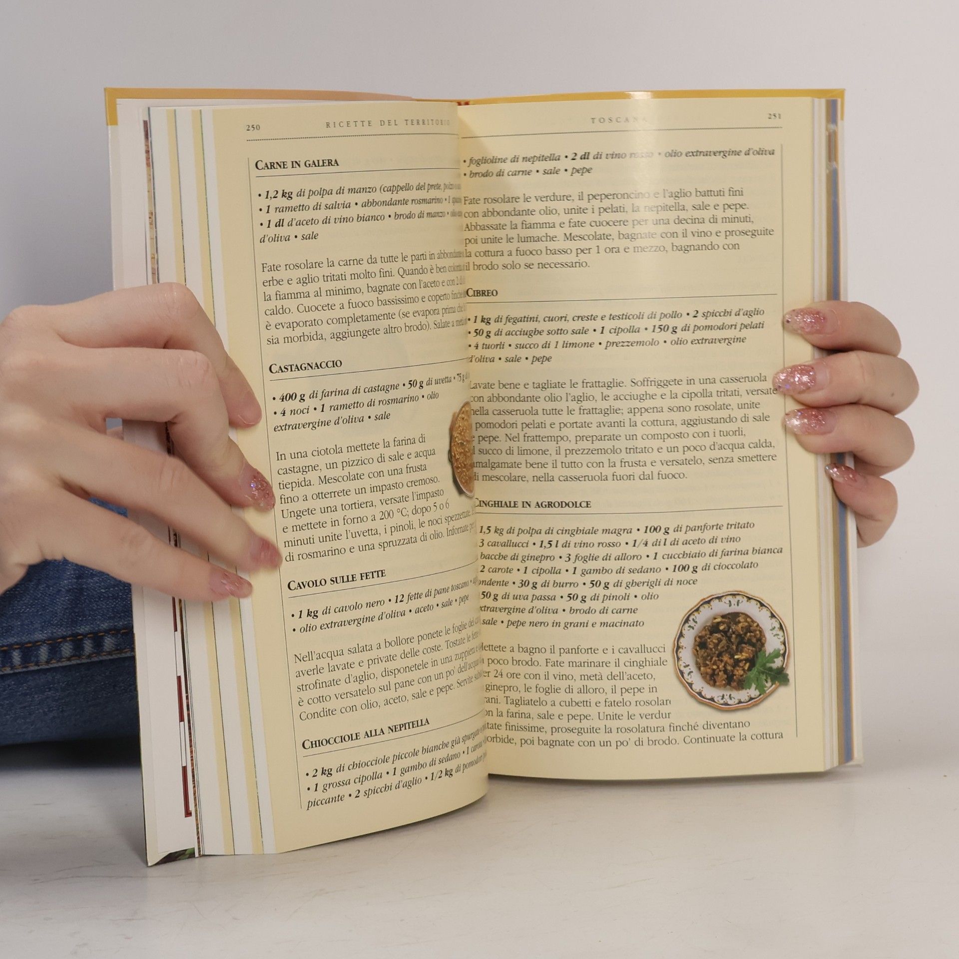 Guido Stecchi Guida Gourmet Italia