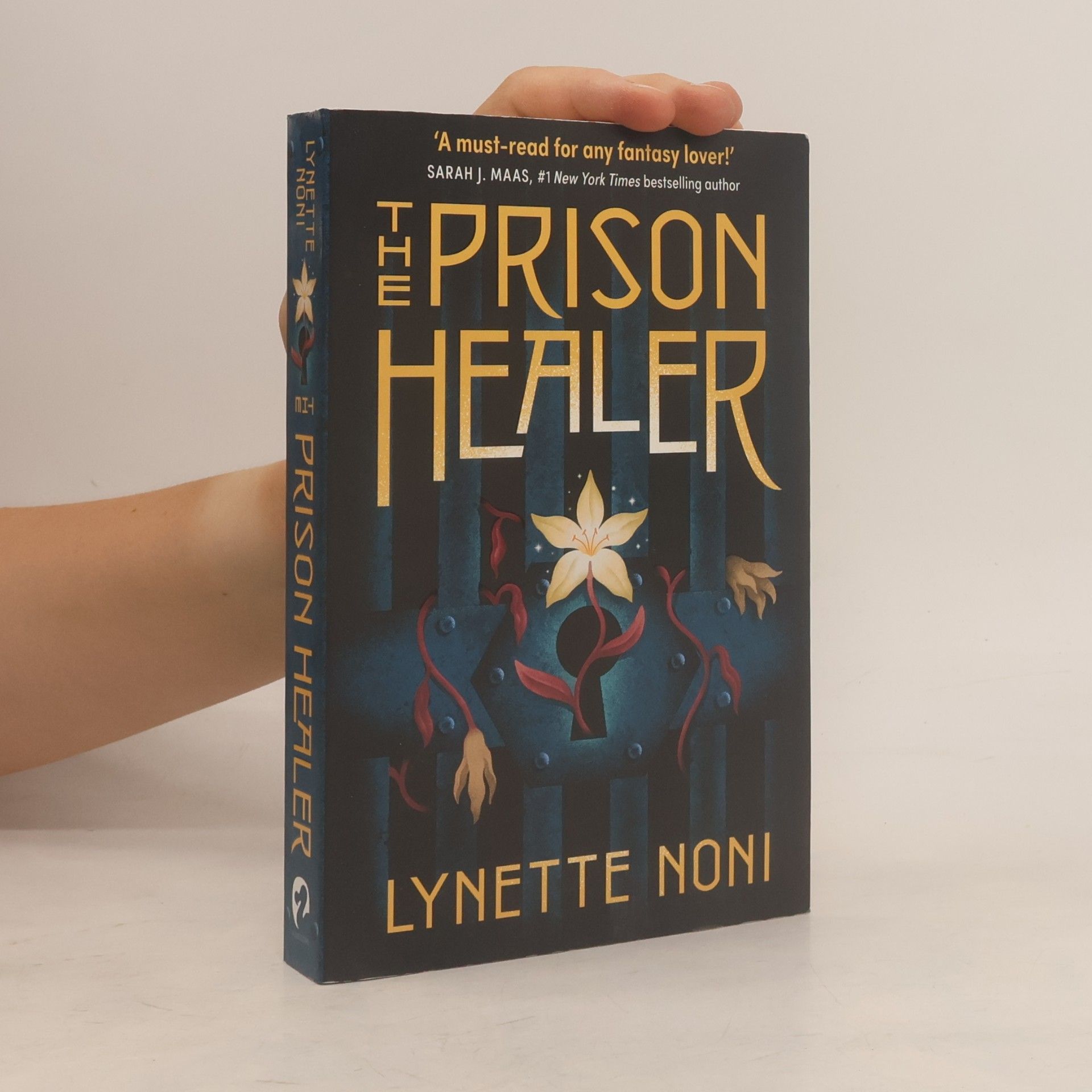 Lynette Noni The Prison Healer