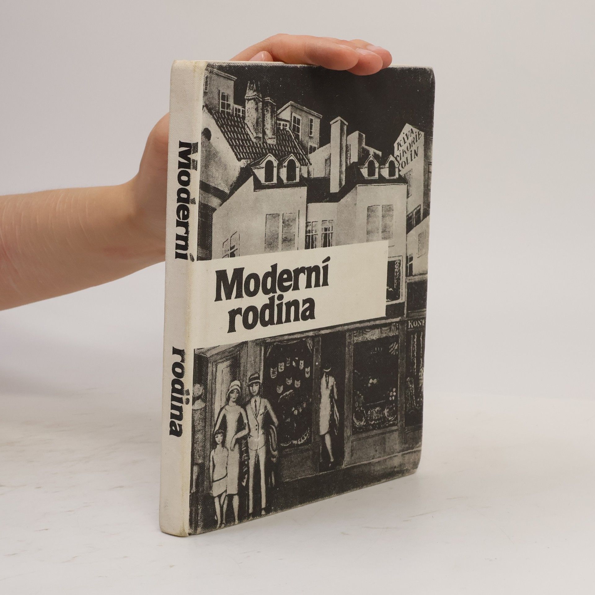 Ivo Možný Moderní rodina. Mýty a skutečnosti