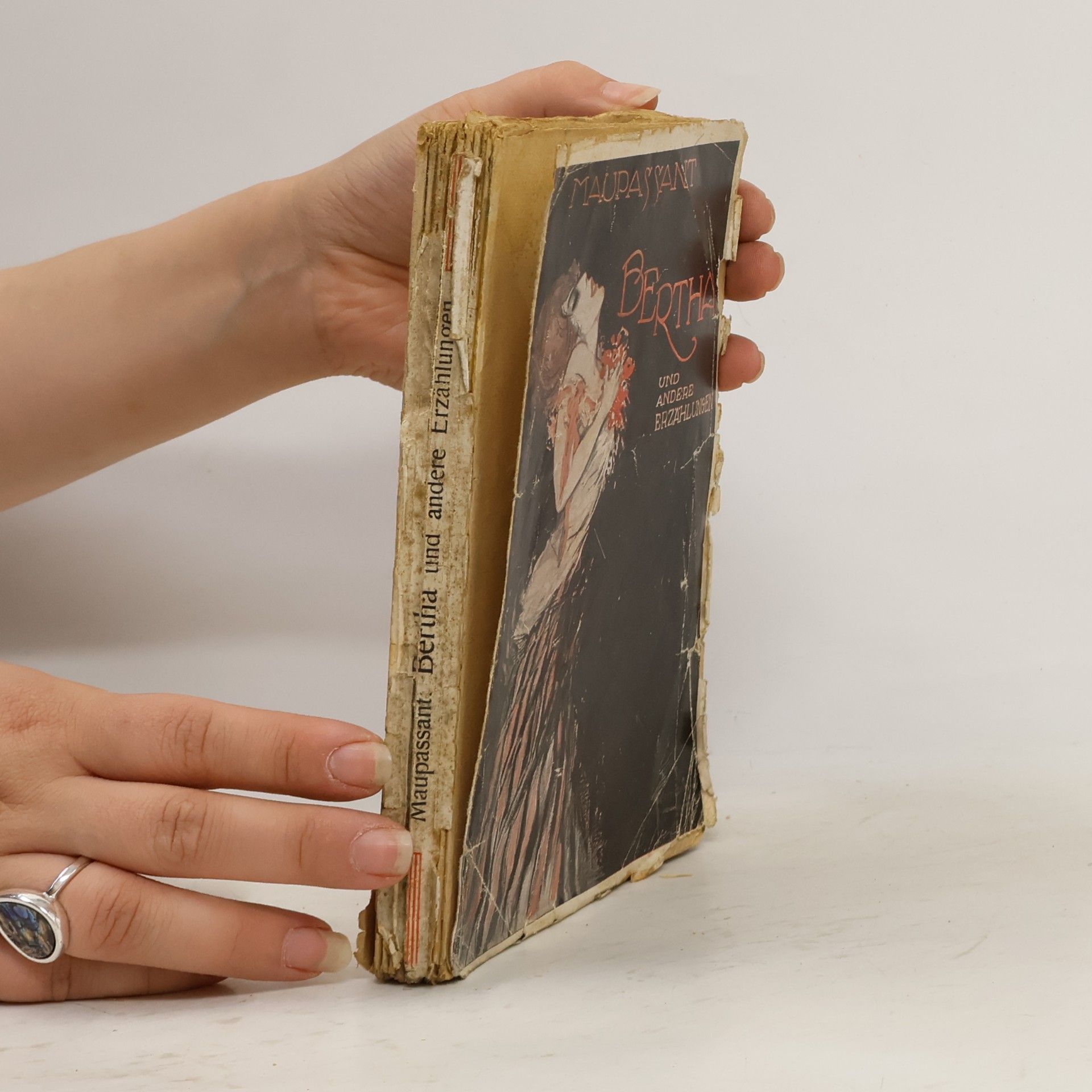 Guy de Maupassant Bertha und andere Erzählungen