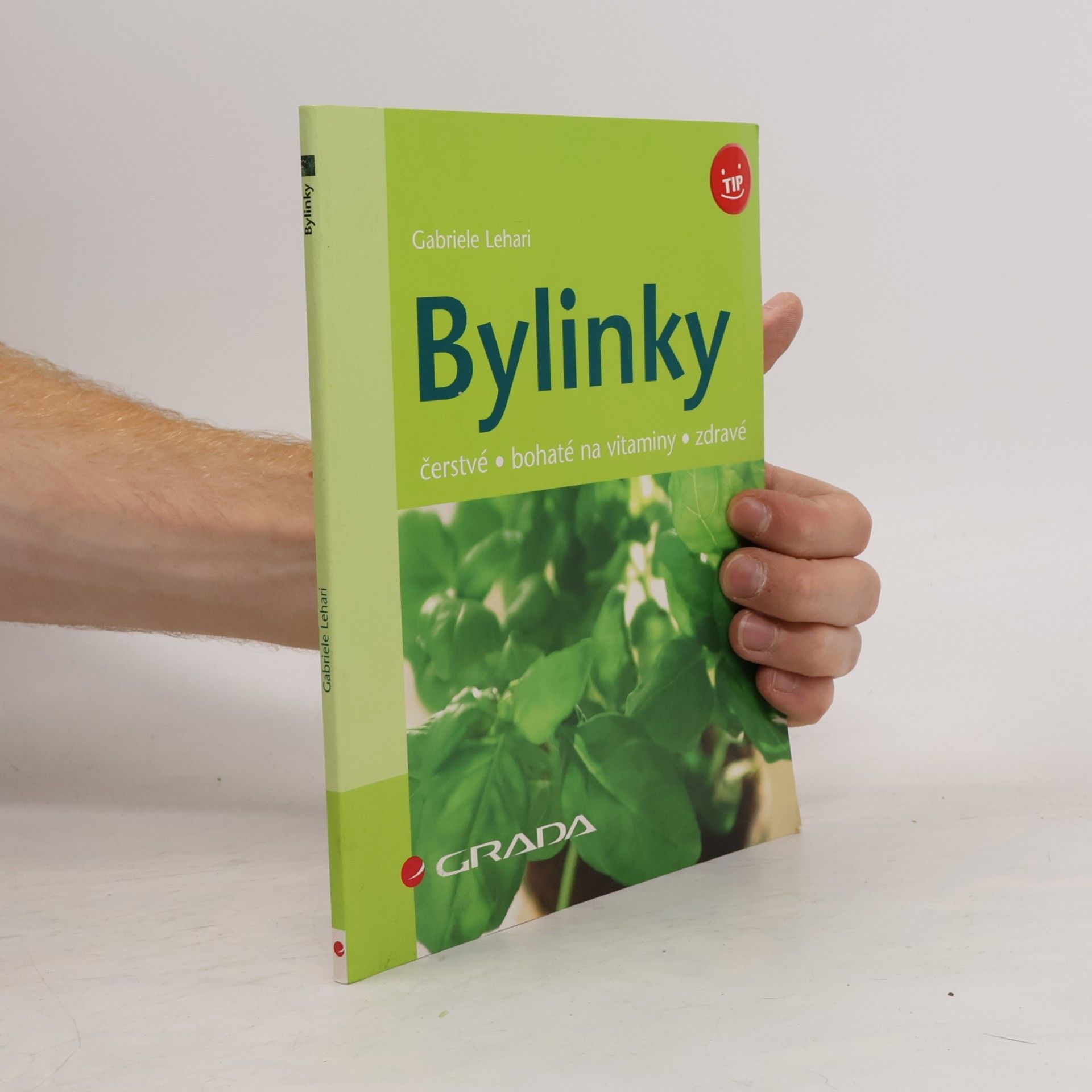 Gabriele Lehari Bylinky