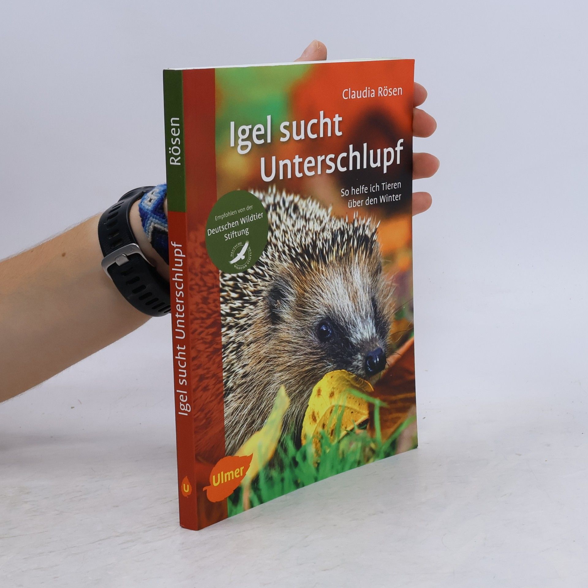 Claudia Rösen Igel sucht Unterschlupf