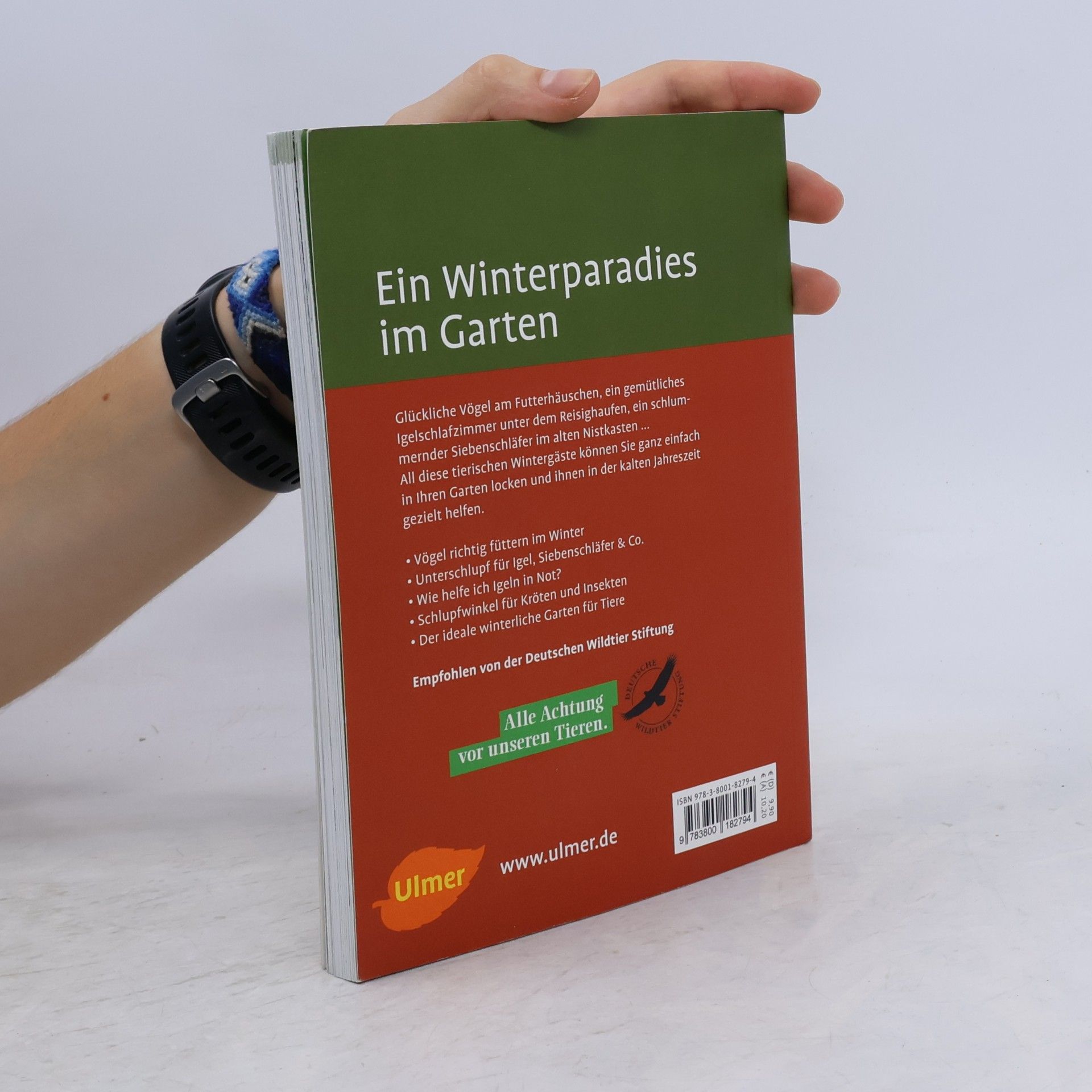 Claudia Rösen Igel sucht Unterschlupf