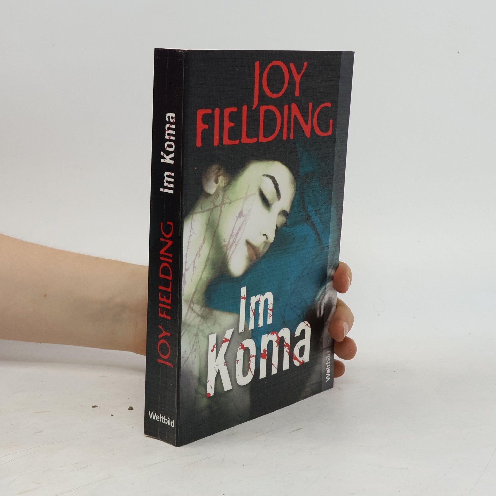 Joy Fielding Im Koma