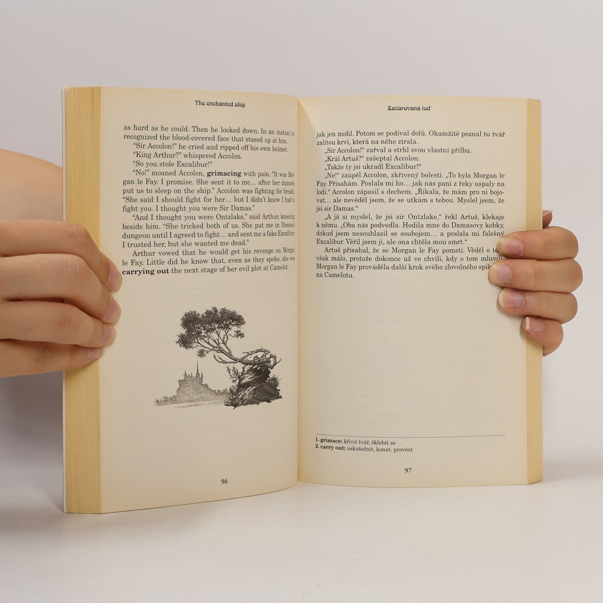 Felicity Brooks Král Artuš = Tales of King Arthur