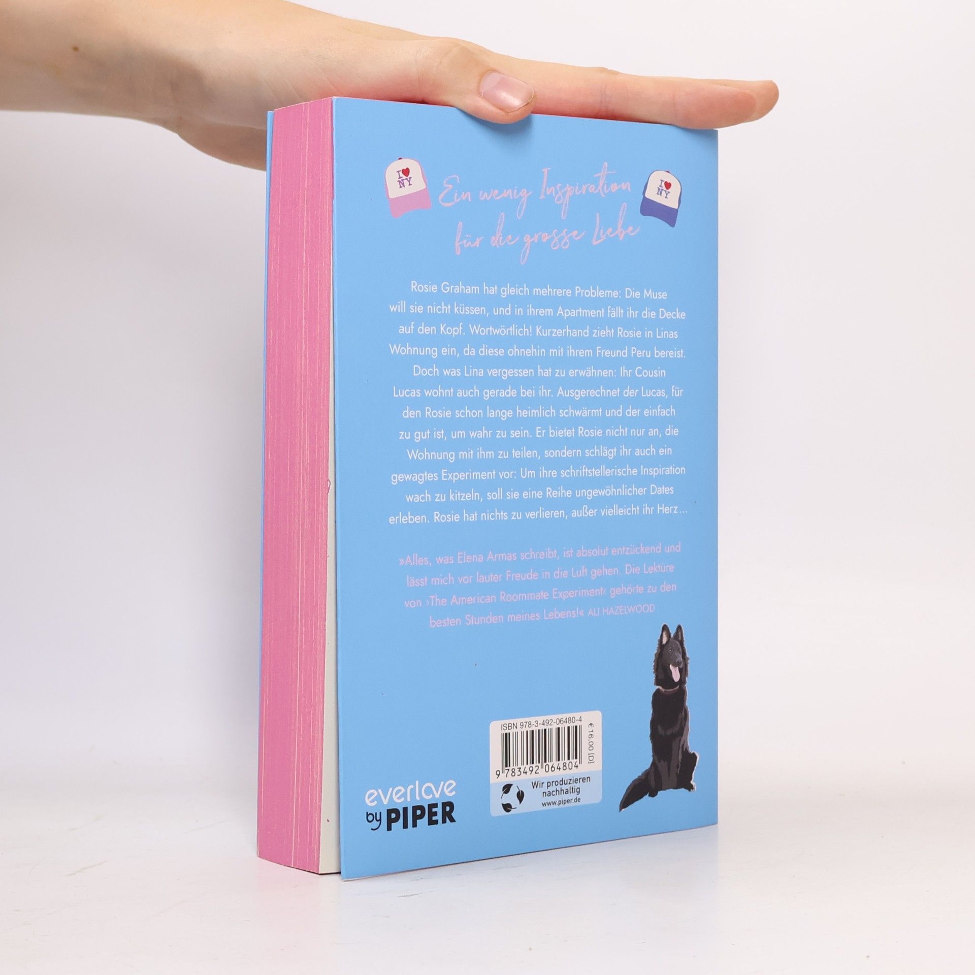 Elena Armas The American Roommate Experiment