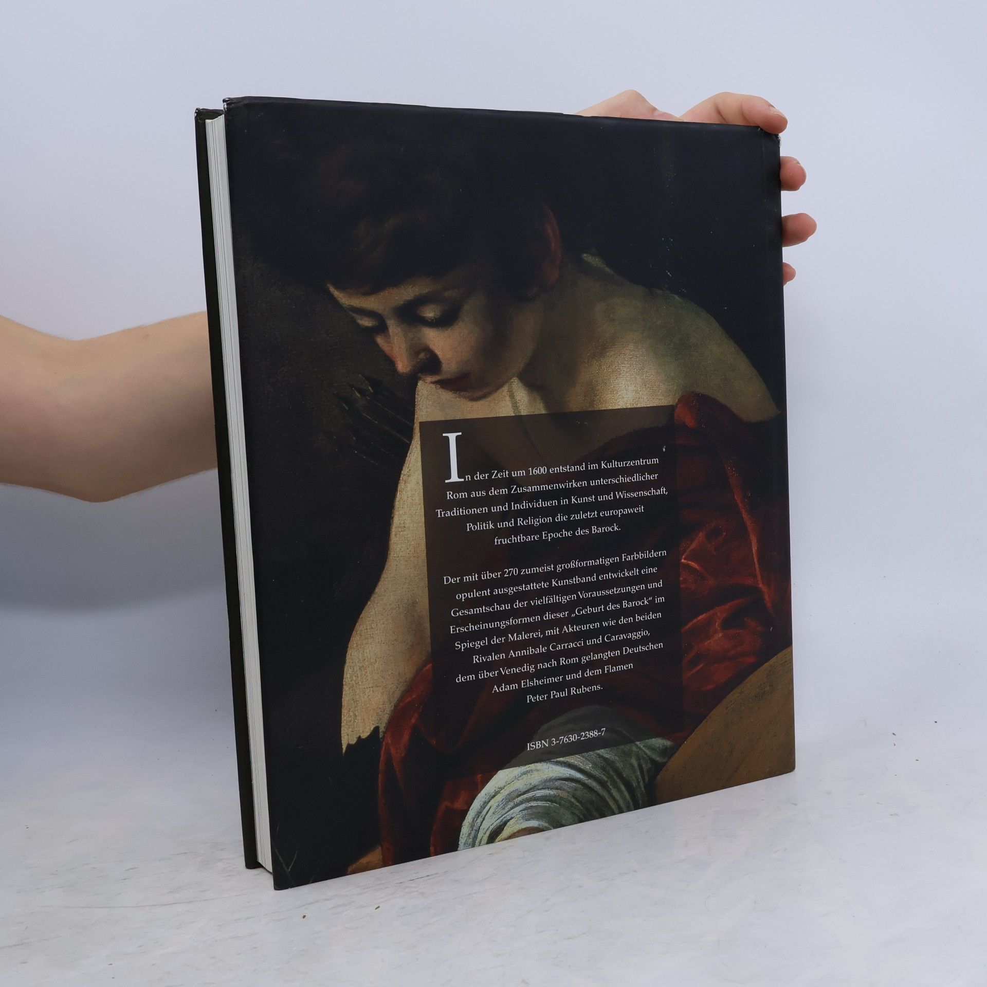 Beverly Louise Brown Die Geburt des Barock