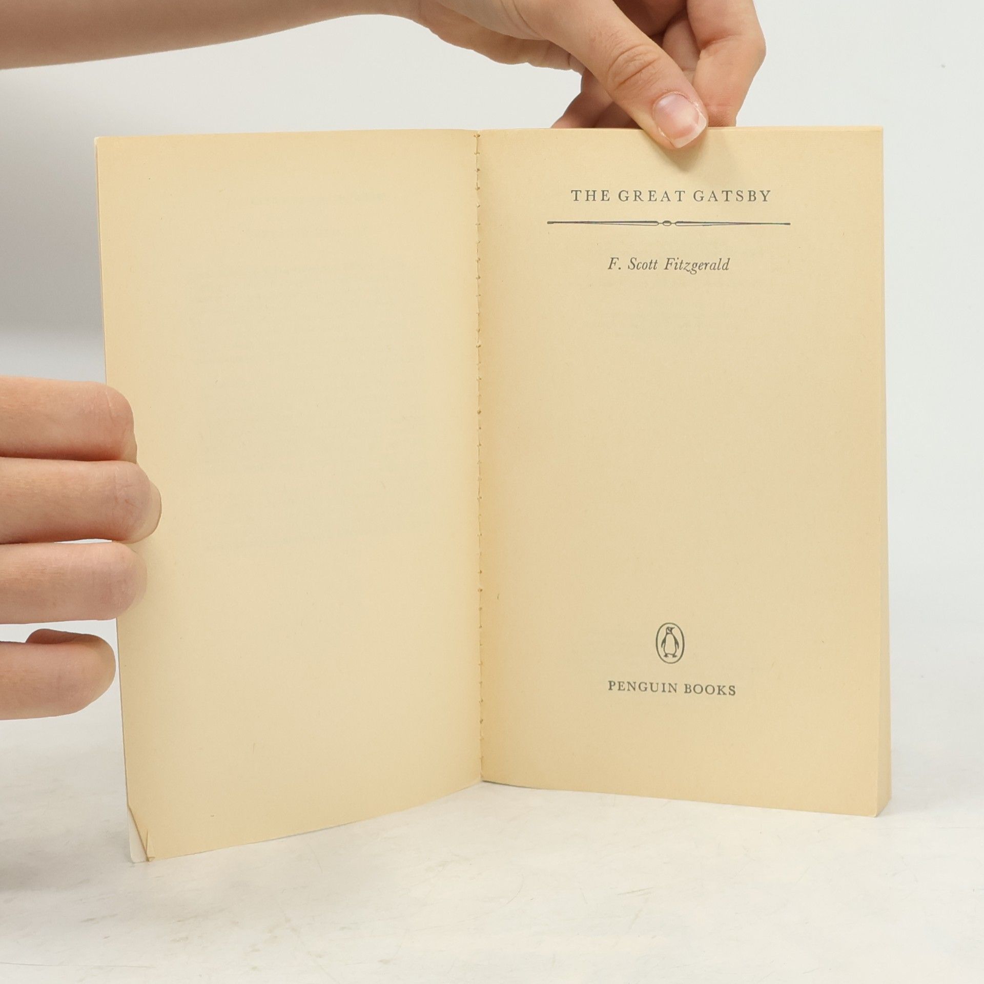 Francis Scott Fitzgerald The Great Gatsby