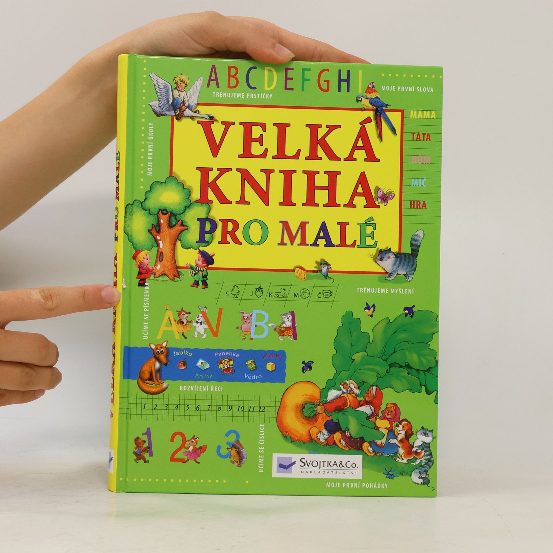 Autorenkollektiv Velká kniha pro malé
