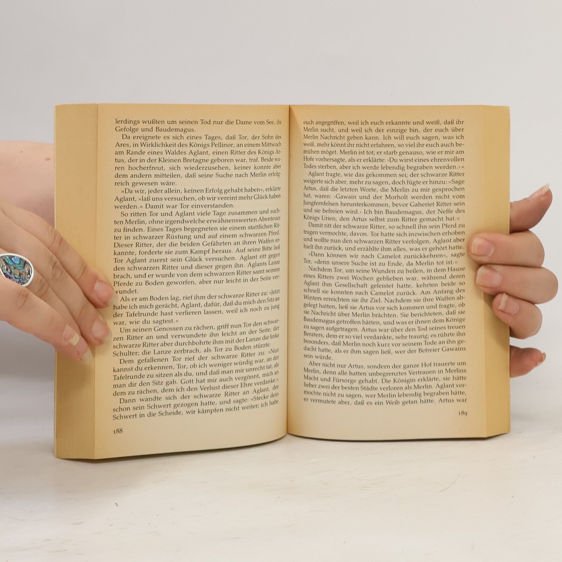 Manfred Kluge Das Buch Merlin. Mythen, Legenden und Dichtungen um den Zauberer Merlin