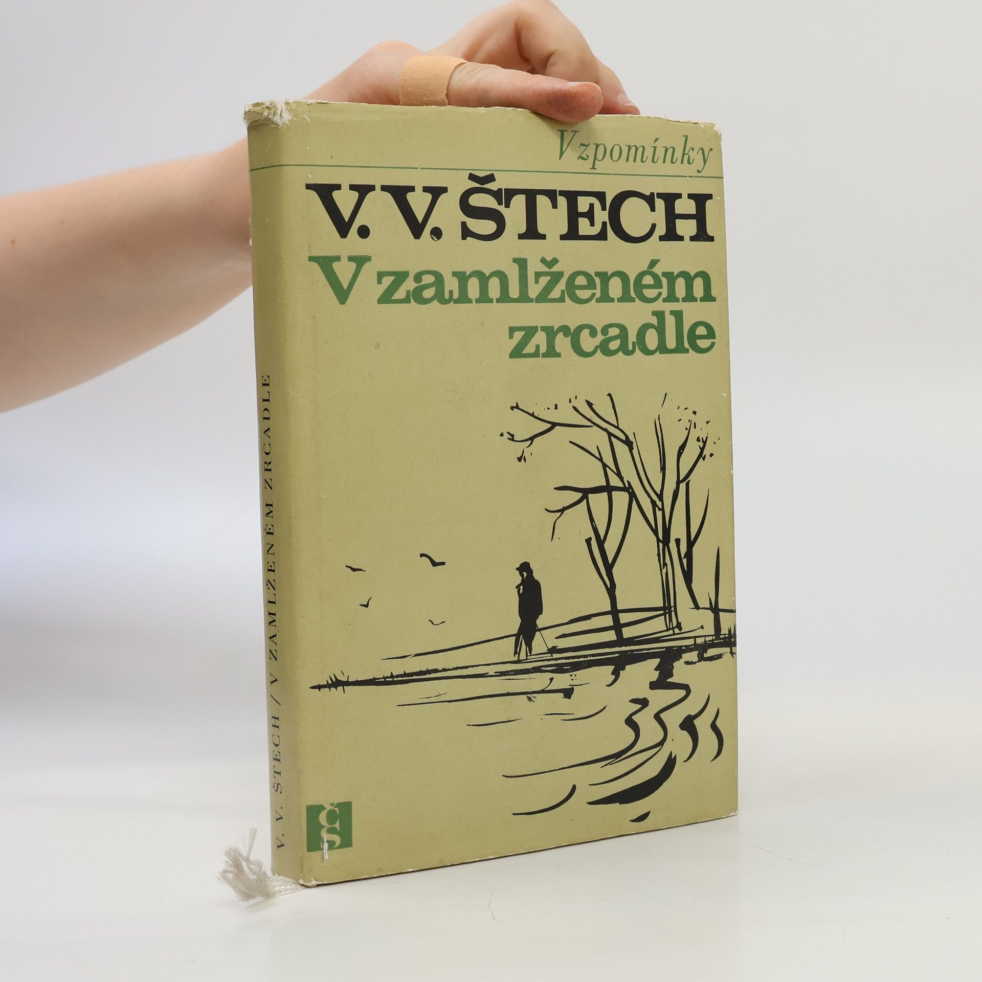 V. V. Štech V zamlženém zrcadle 1