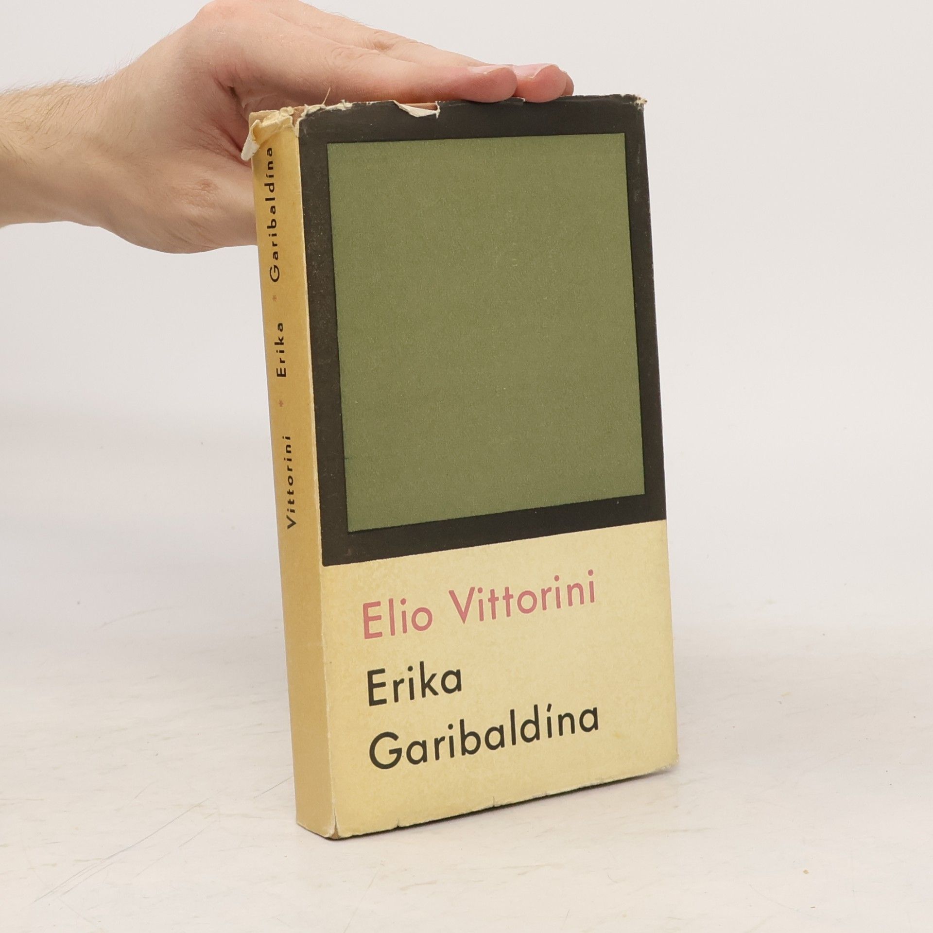 Elio Vittorini Erika Garibaldína