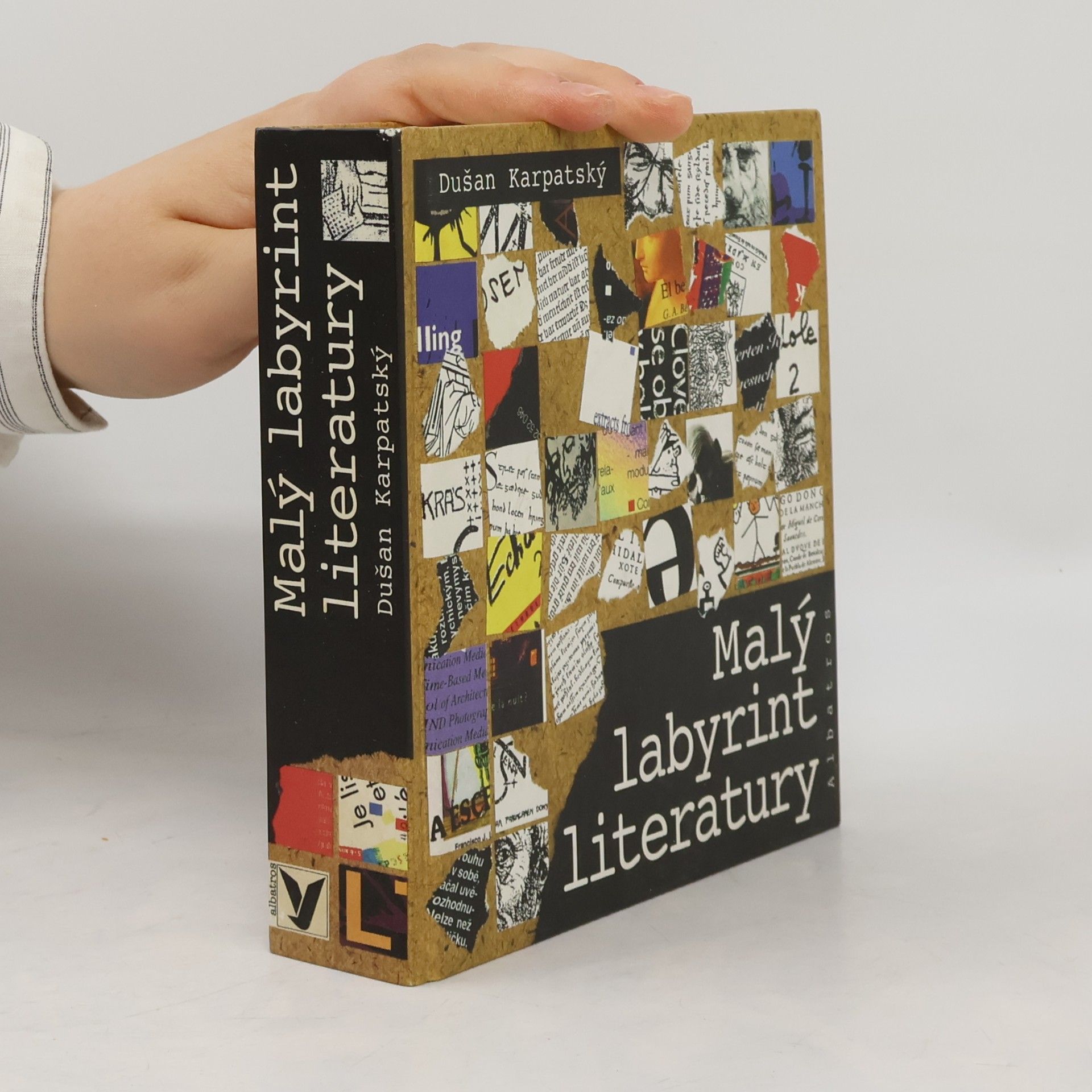Dušan Karpatský Malý labyrint literatury
