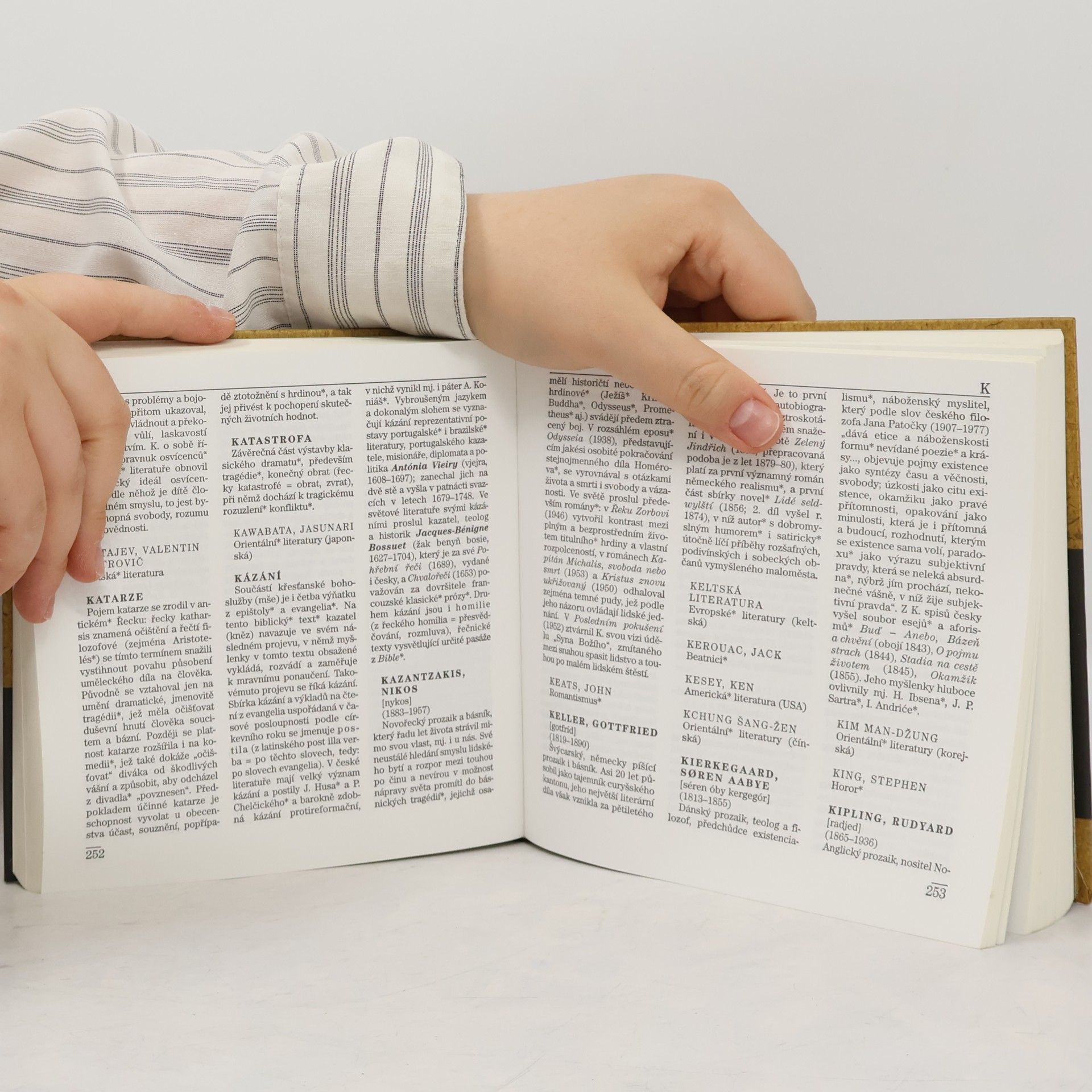 Dušan Karpatský Malý labyrint literatury