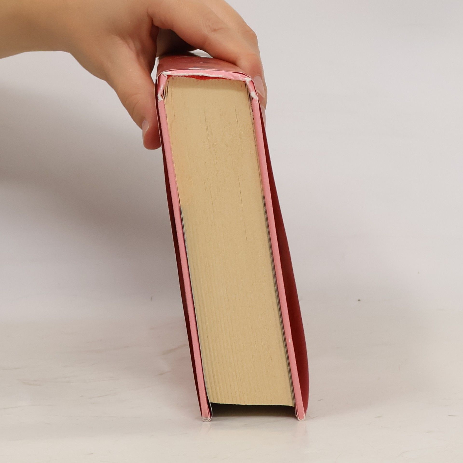 Yrsa Sigurðardóttir Černá díra