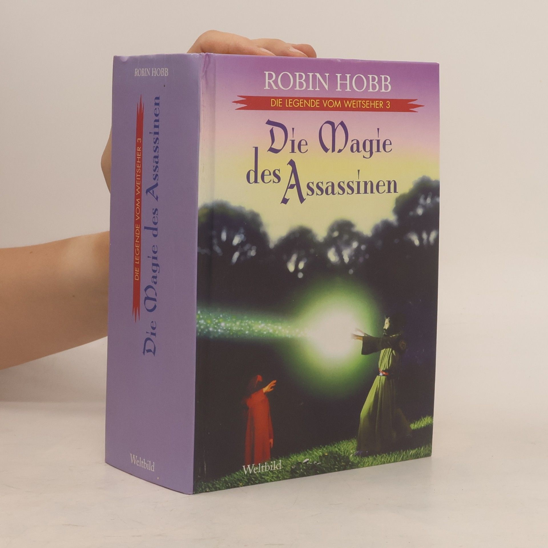 Robin Hobb Die Magie des Assassinen