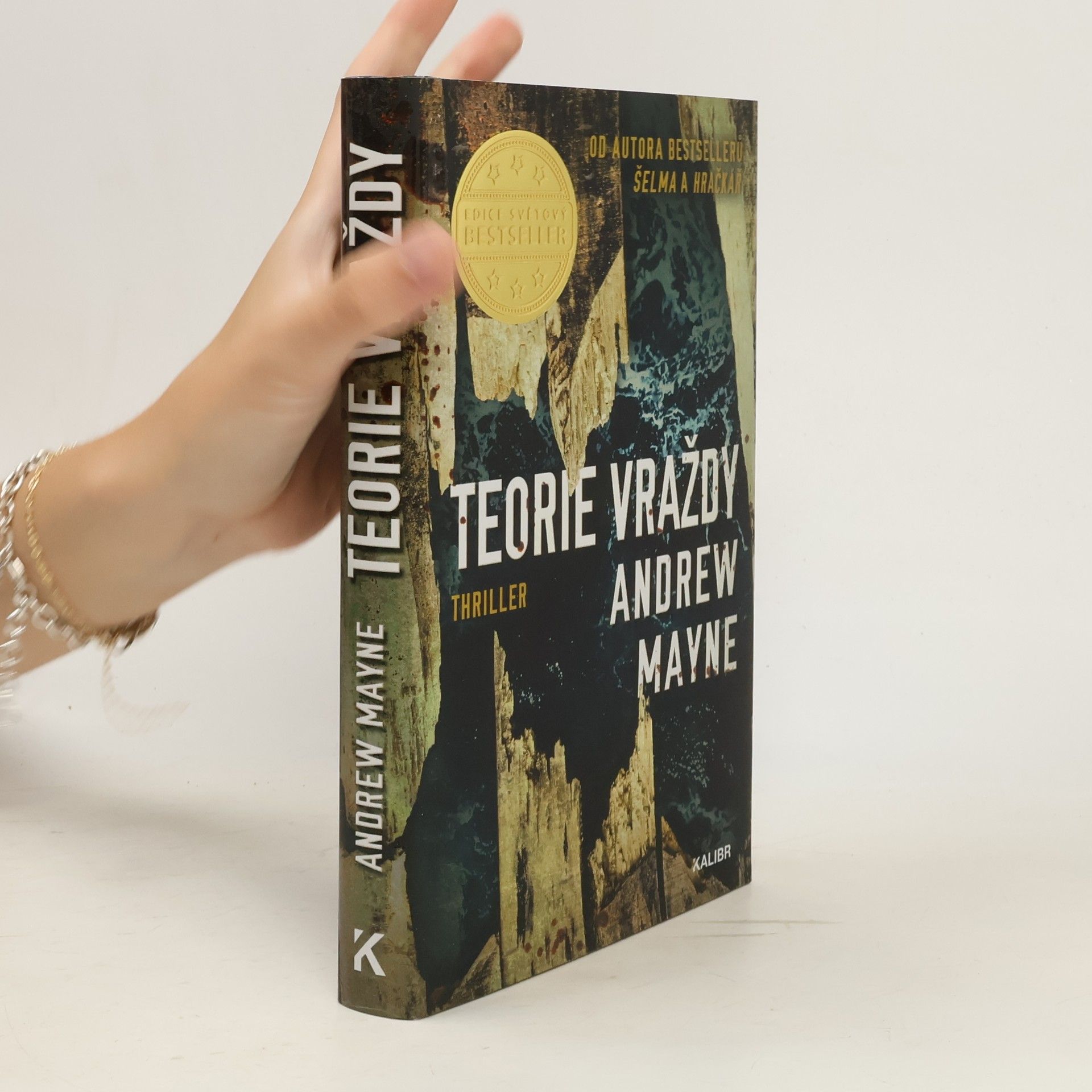 Andrew Mayne Teorie vraždy