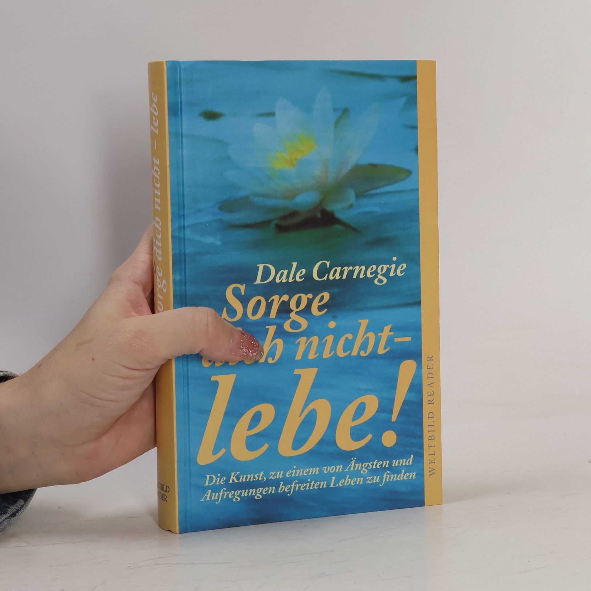 Dale Carnegie Sorge dich nicht - lebe!