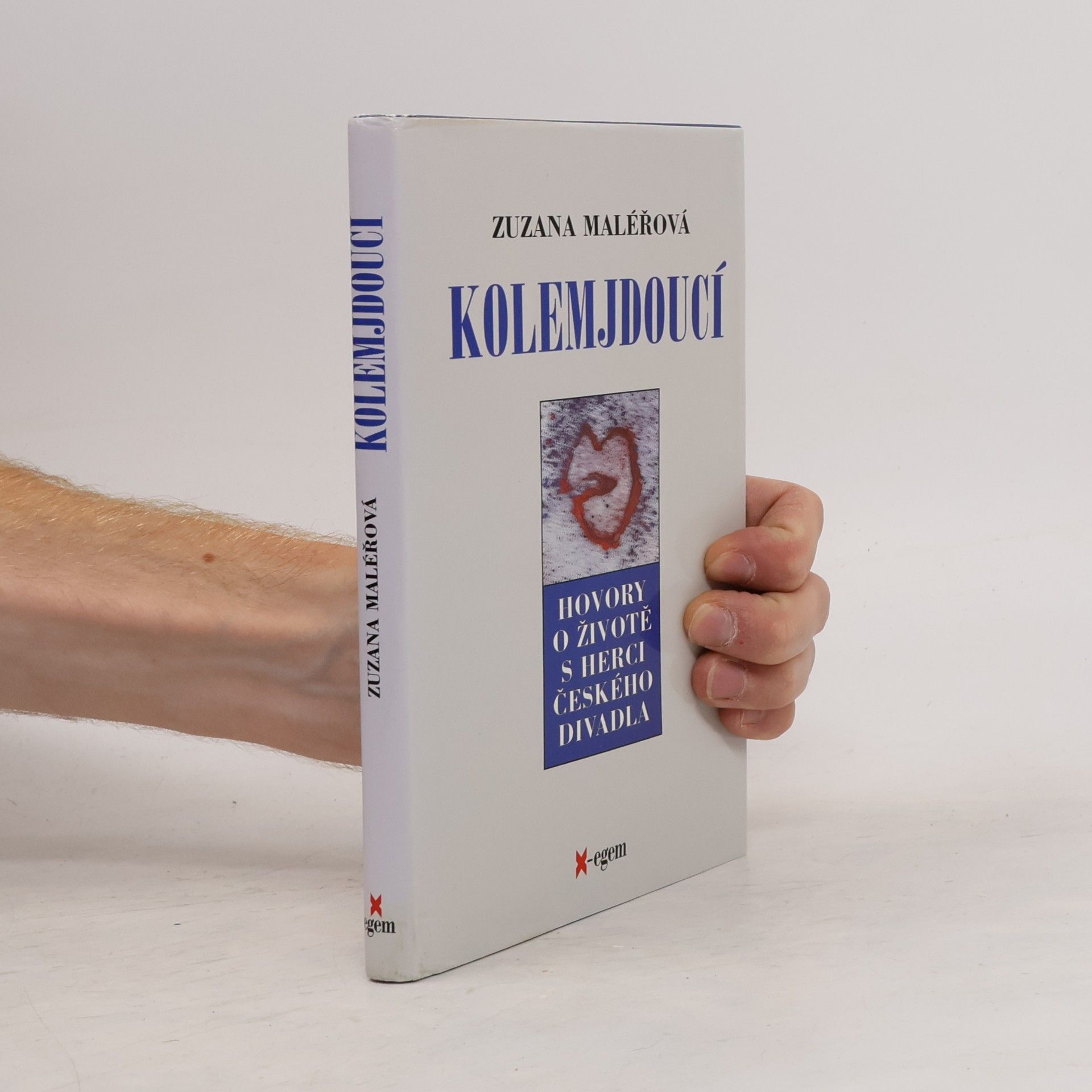 Zuzana Maléřová Kolemjdoucí