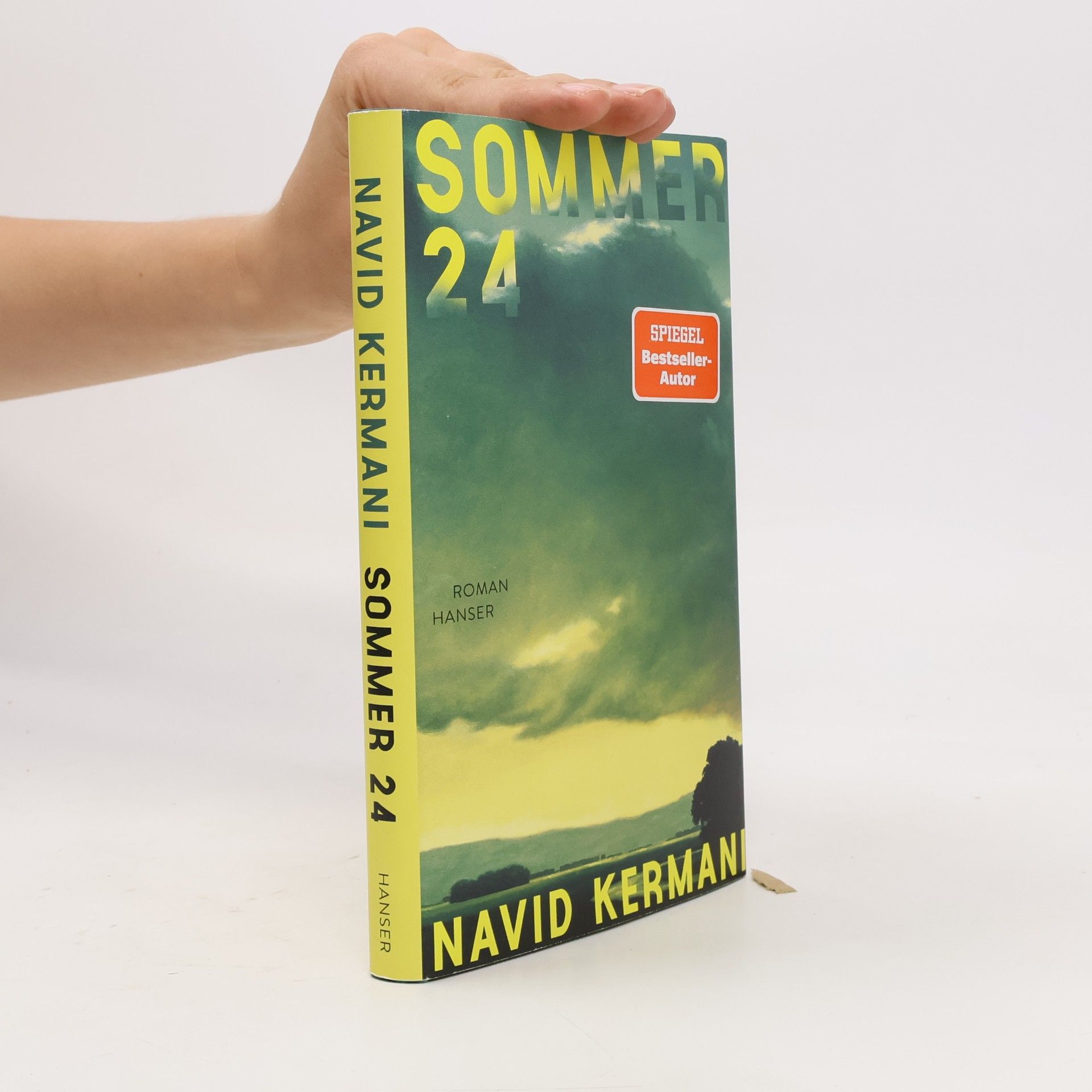 Navid Kermani Sommer 24