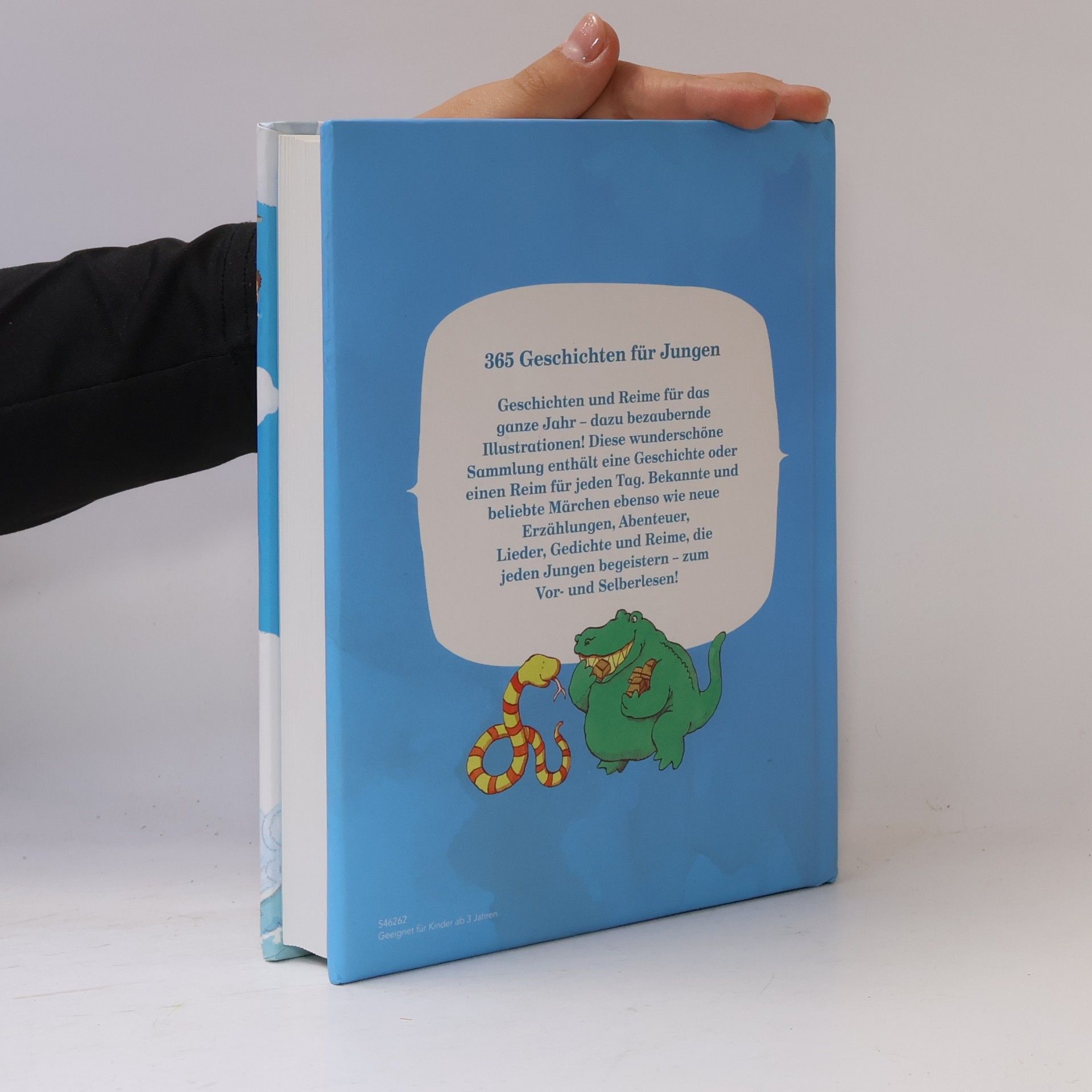 Autores varios 365 Geschichten für Jungen