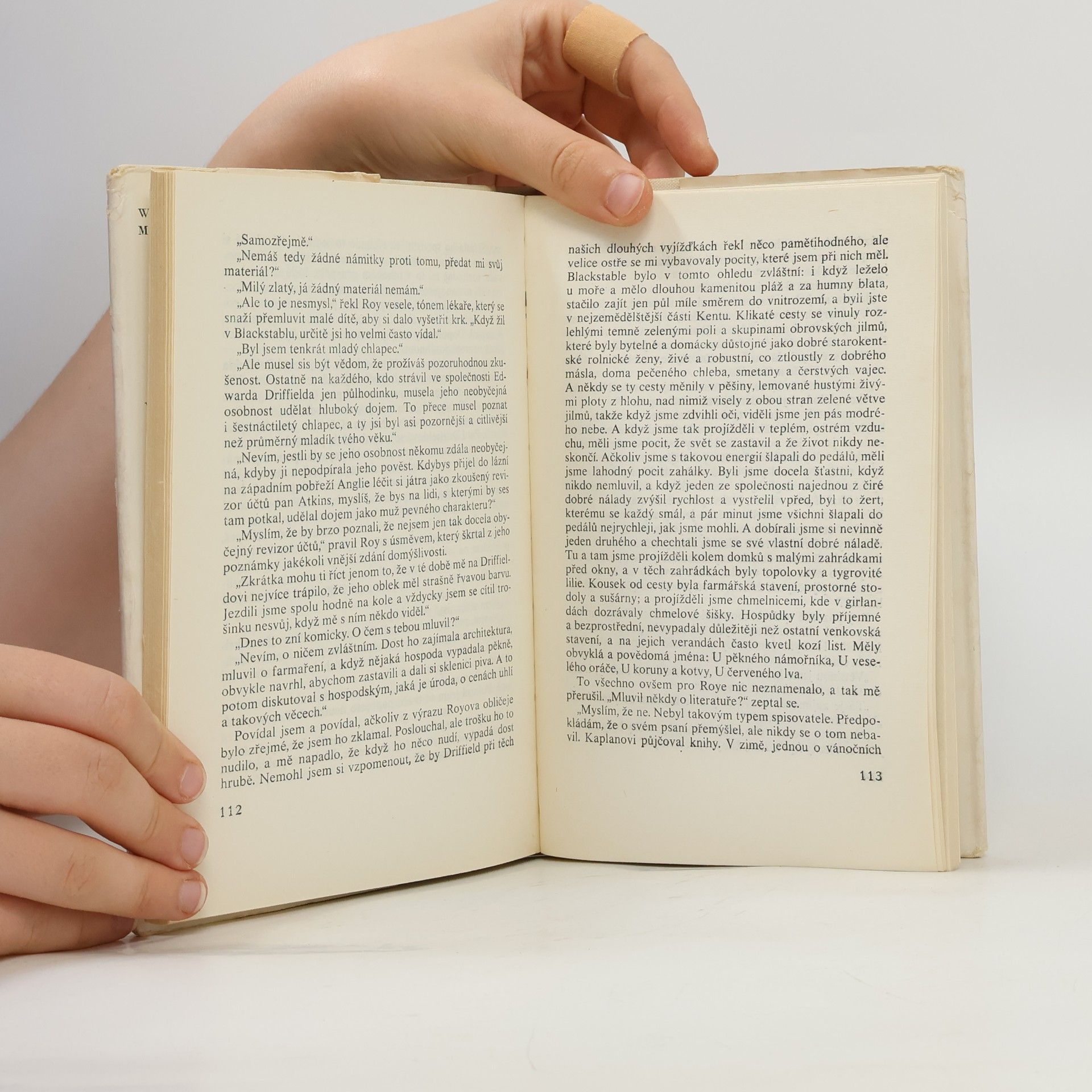 William Somerset Maugham Veselice aneb Kostlivec ve skříni
