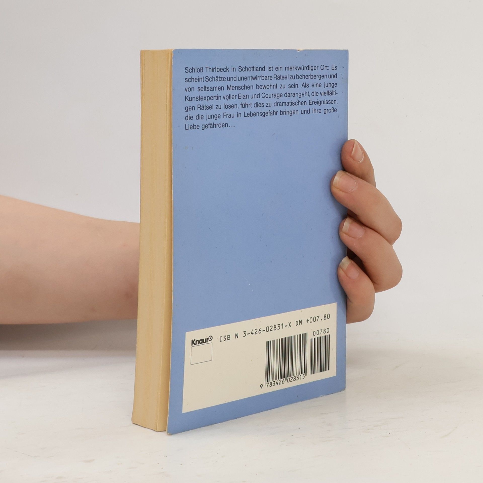 Catherine Gaskin Ein Windspiel im Nebel