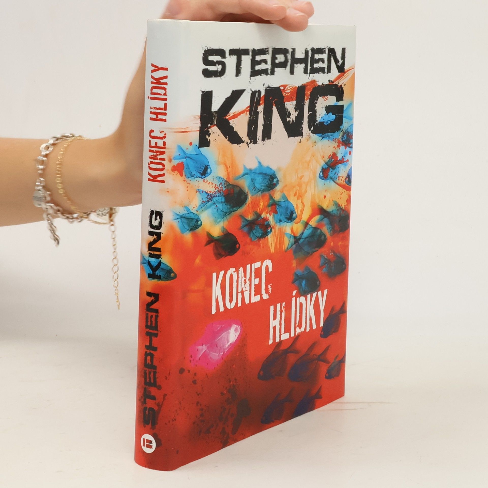 Stephen King Konec hlídky