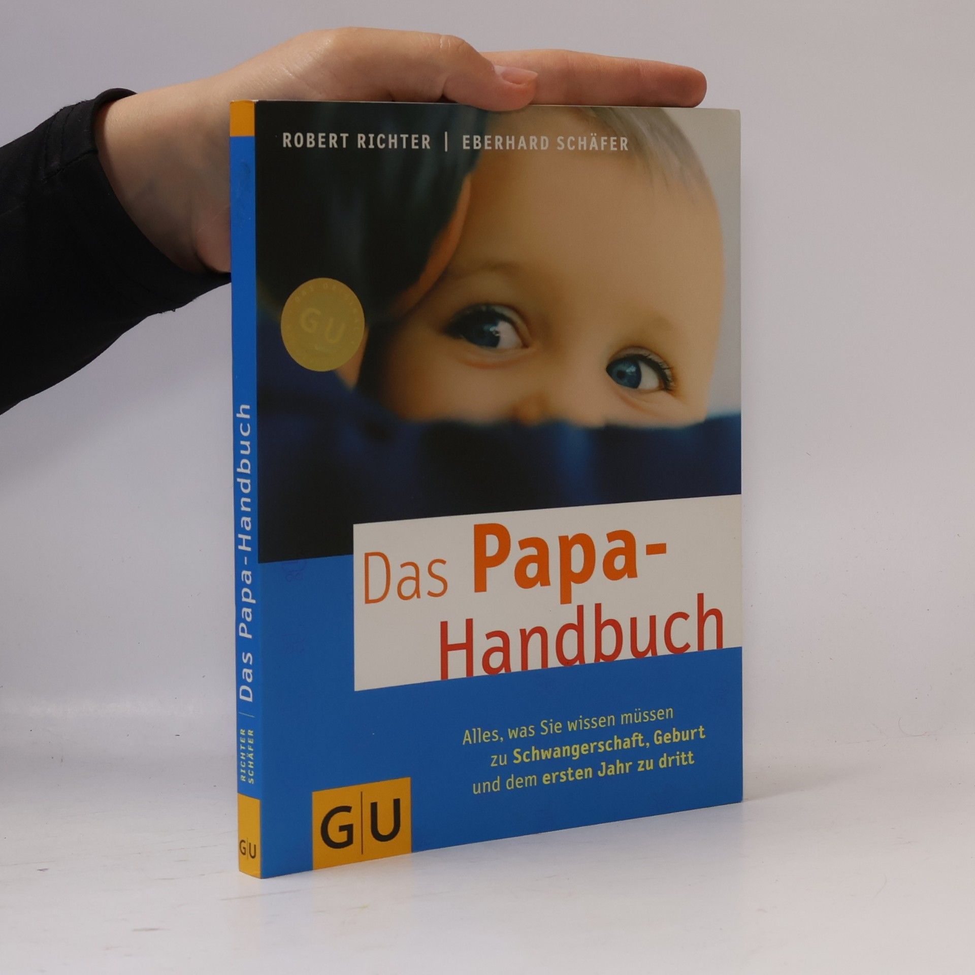 Robert Richter Das Papa-Handbuch