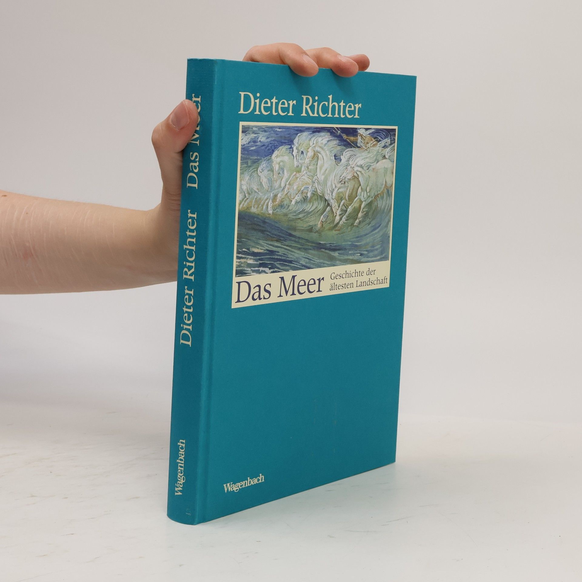 Dieter Richter Das Meer
