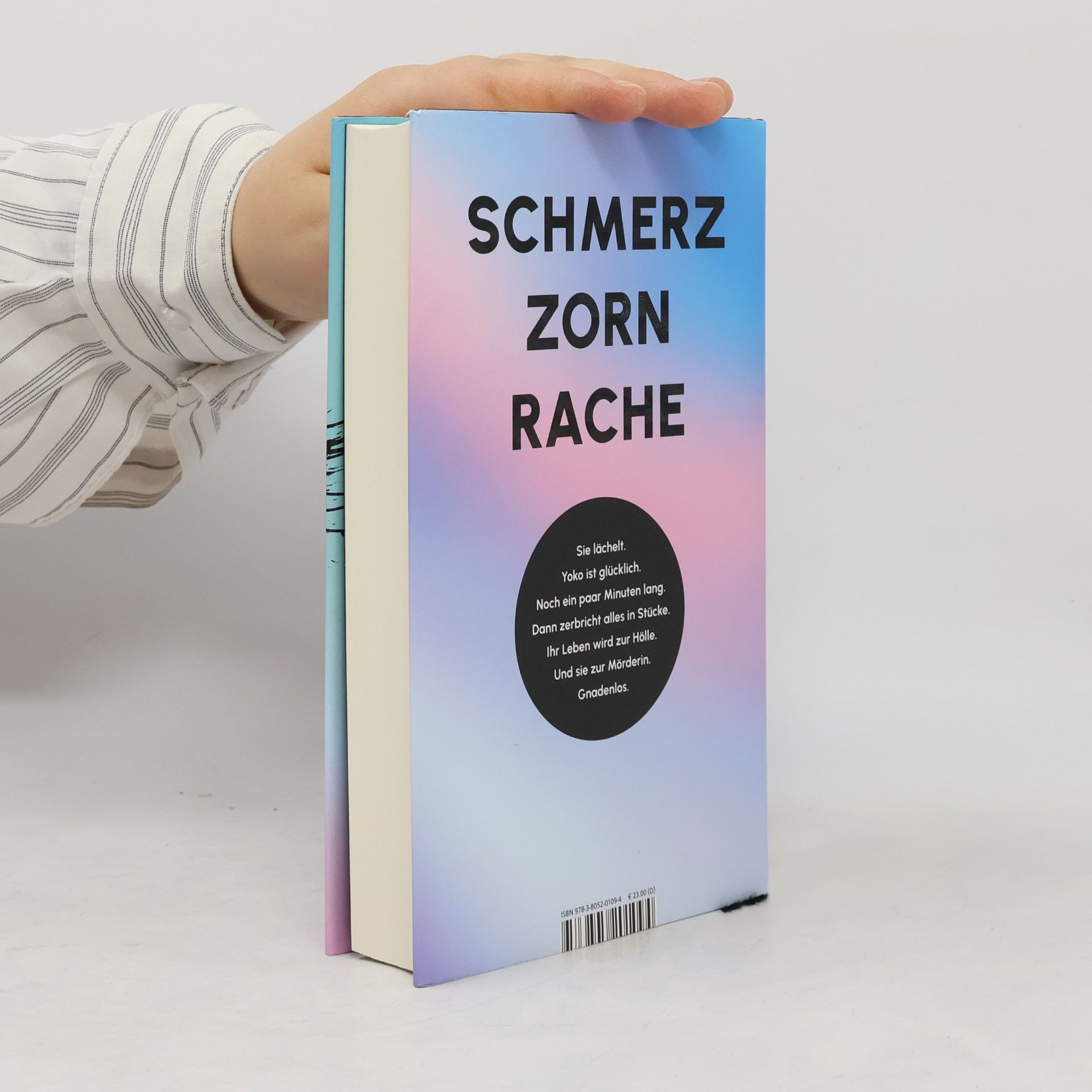 Bernhard Aichner Yoko