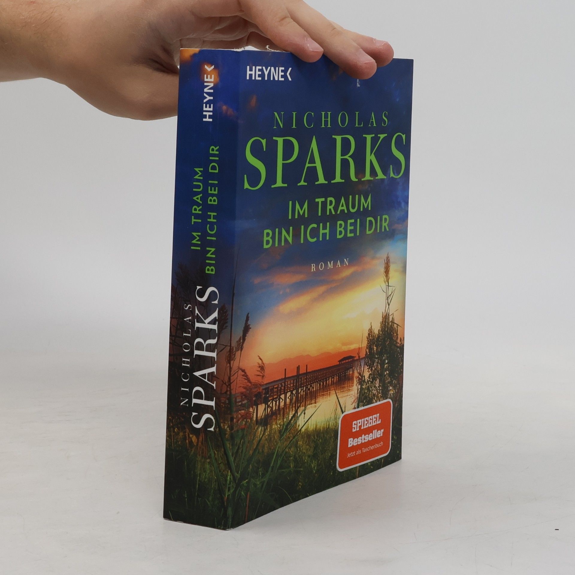 Nicholas Sparks Im Traum bin ich bei dir