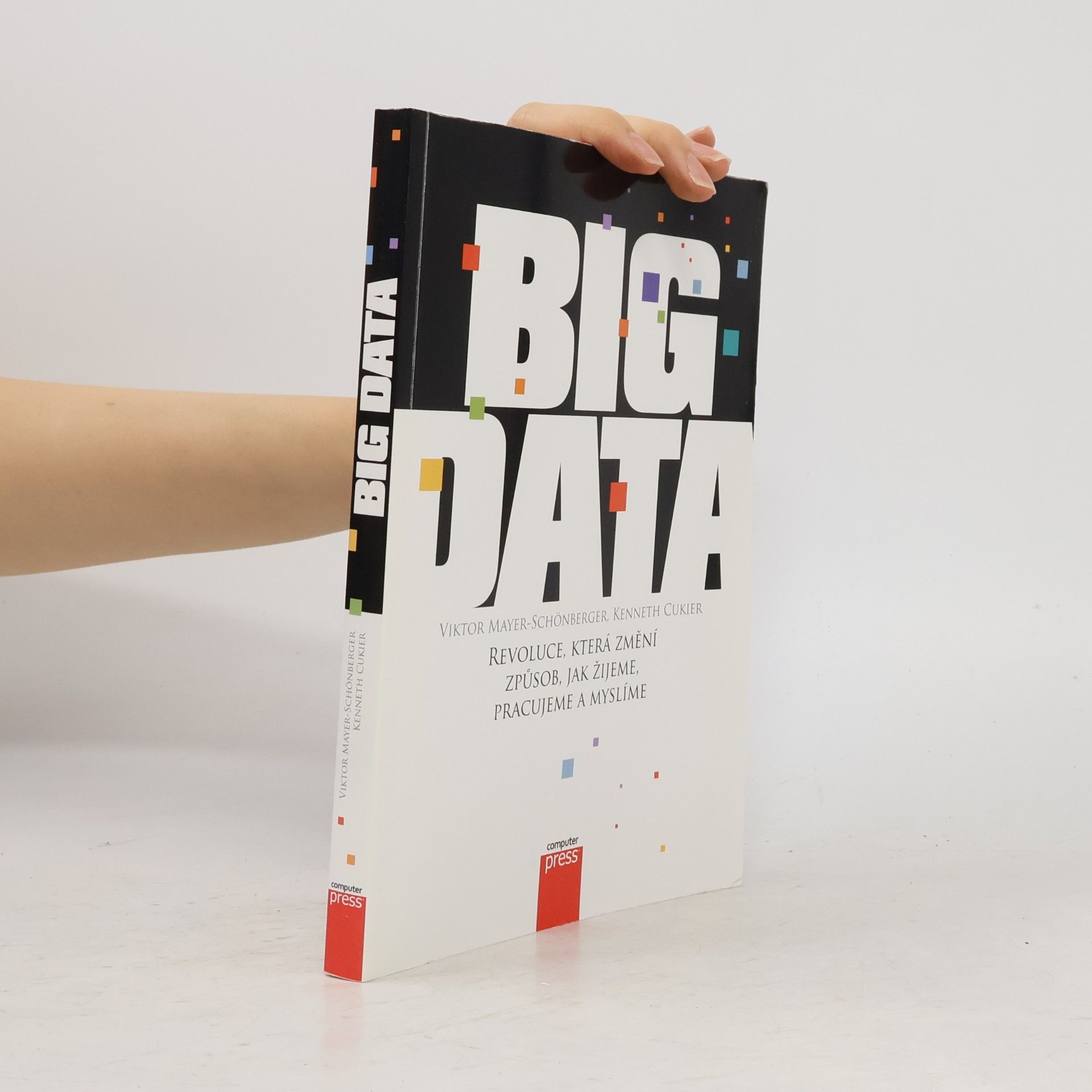 Viktor Mayer-Schönberger Big Data