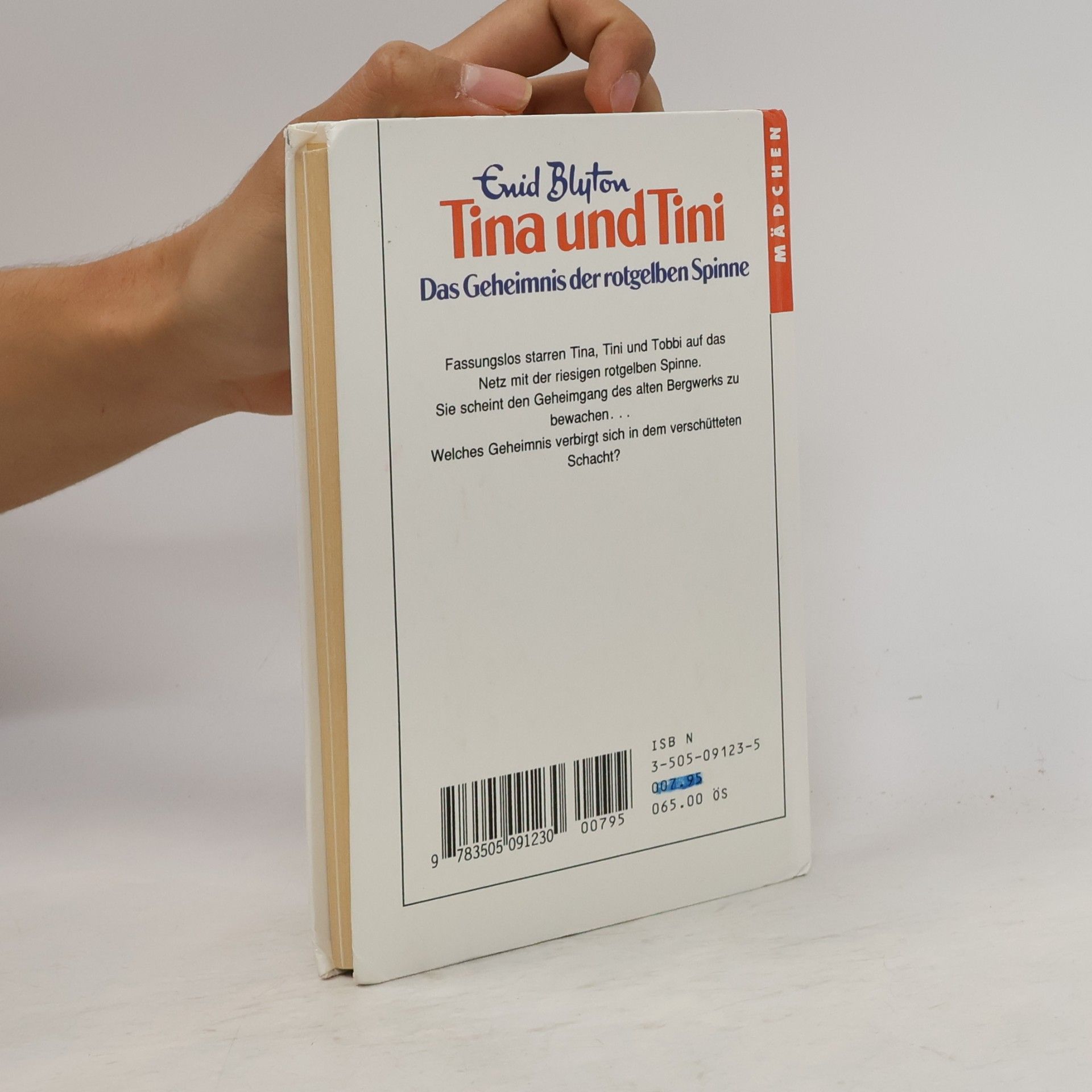 Enid Blyton Tina und Tini