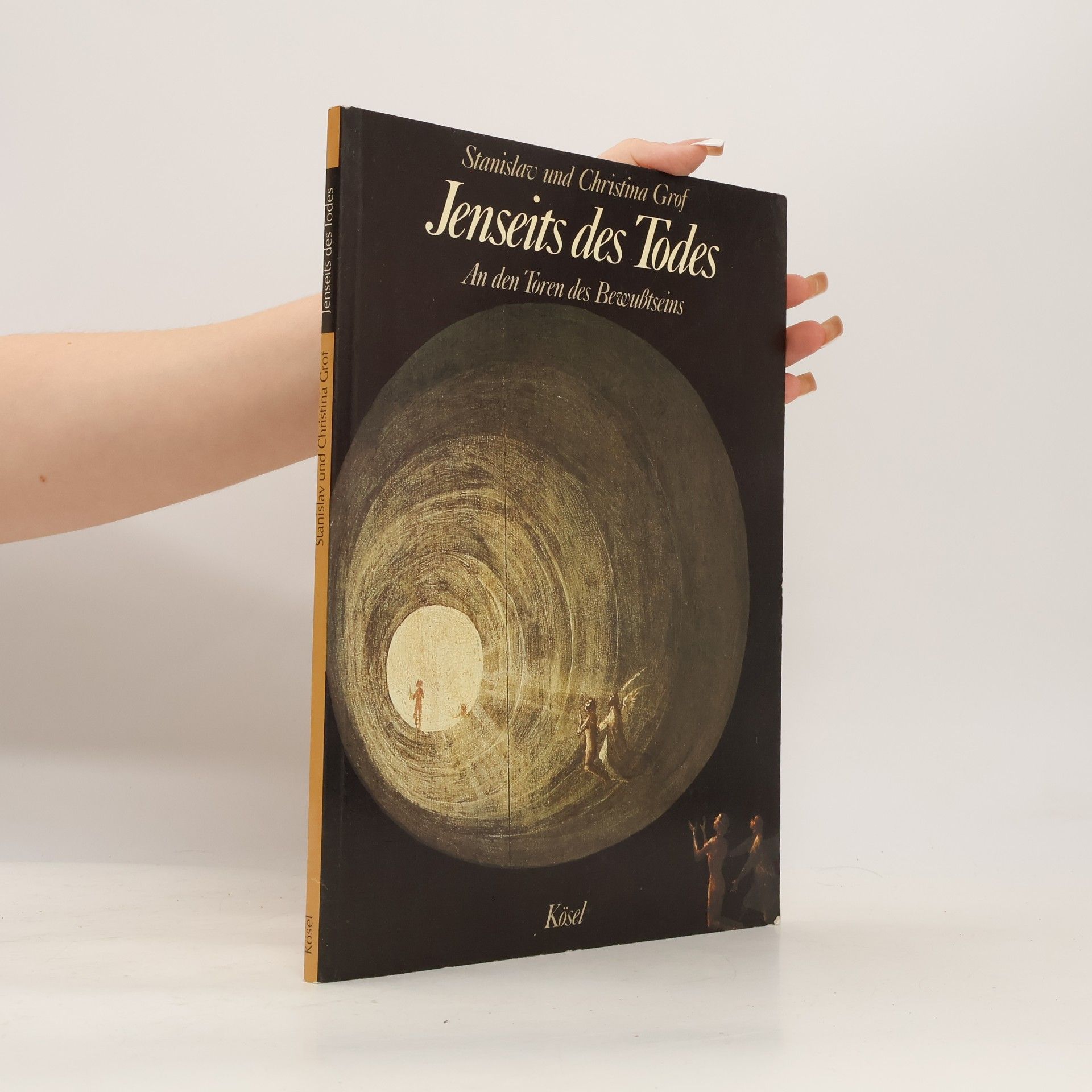 Stanislav Grof Jenseits des Todes : an den Toren des Bewusstseins