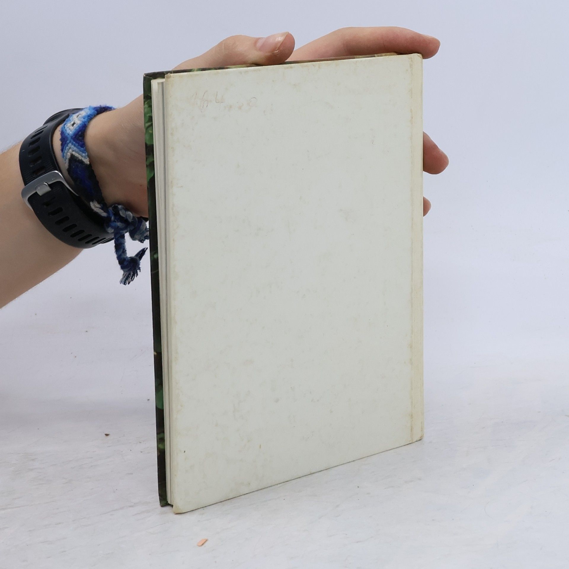 Gerhard Isert Licht und Farbe