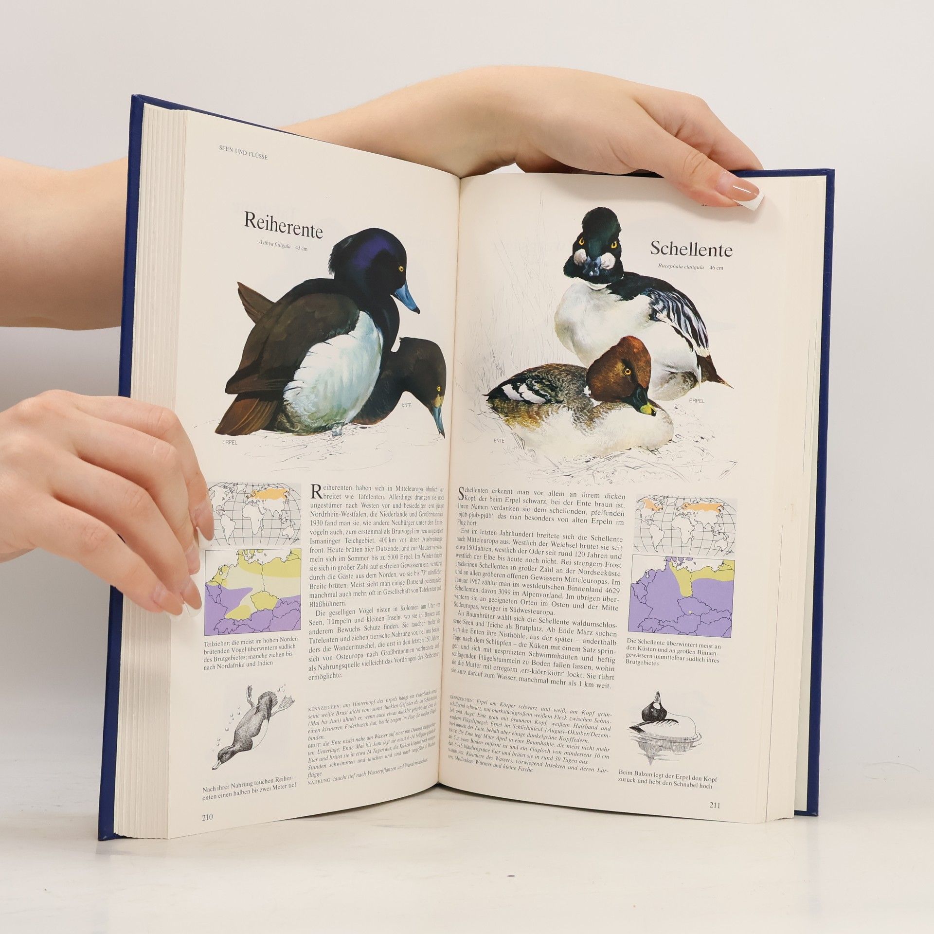 Richard Sidney Buch der Vogelwelt. Mitteleuropa