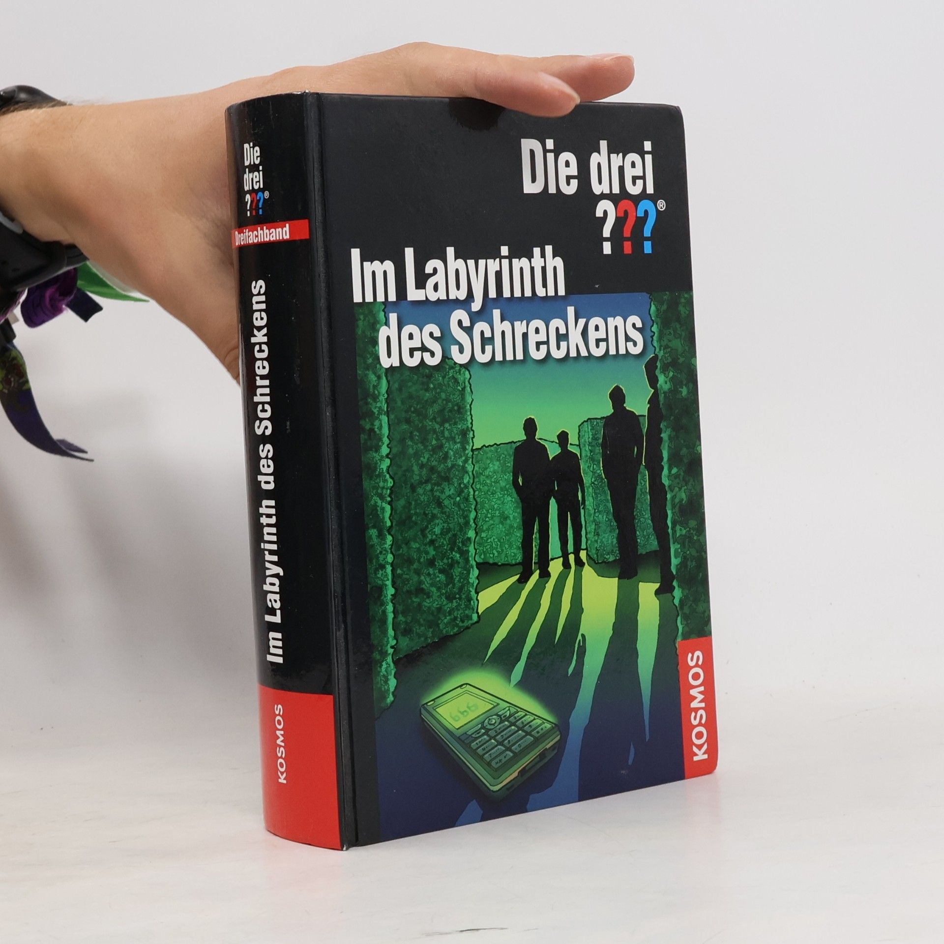 Brigitte Johanna Henkel-Waidhofer Die drei ??? - im Labyrinth des Schreckens
