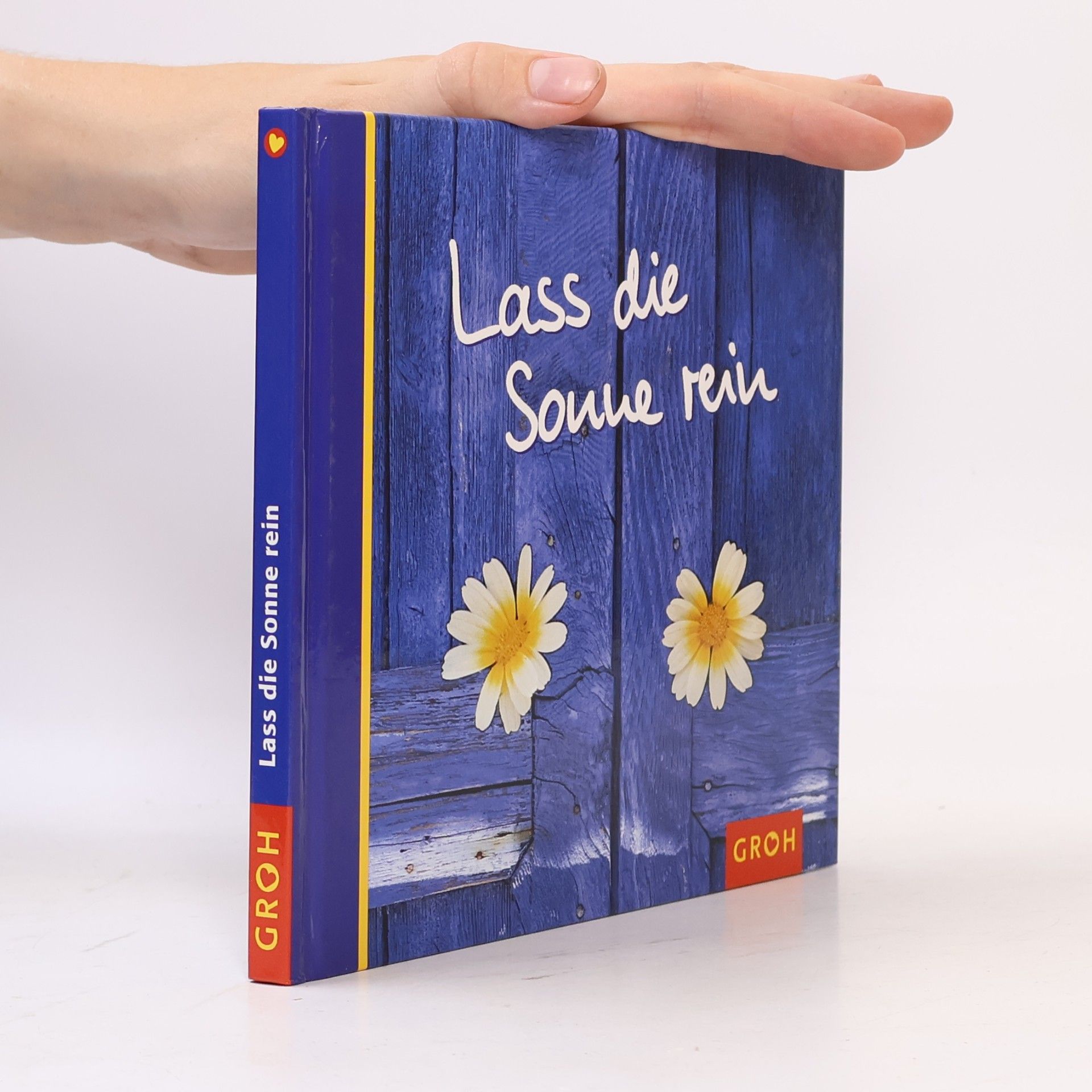 Ursula Kohaupt Lass die Sonne rein