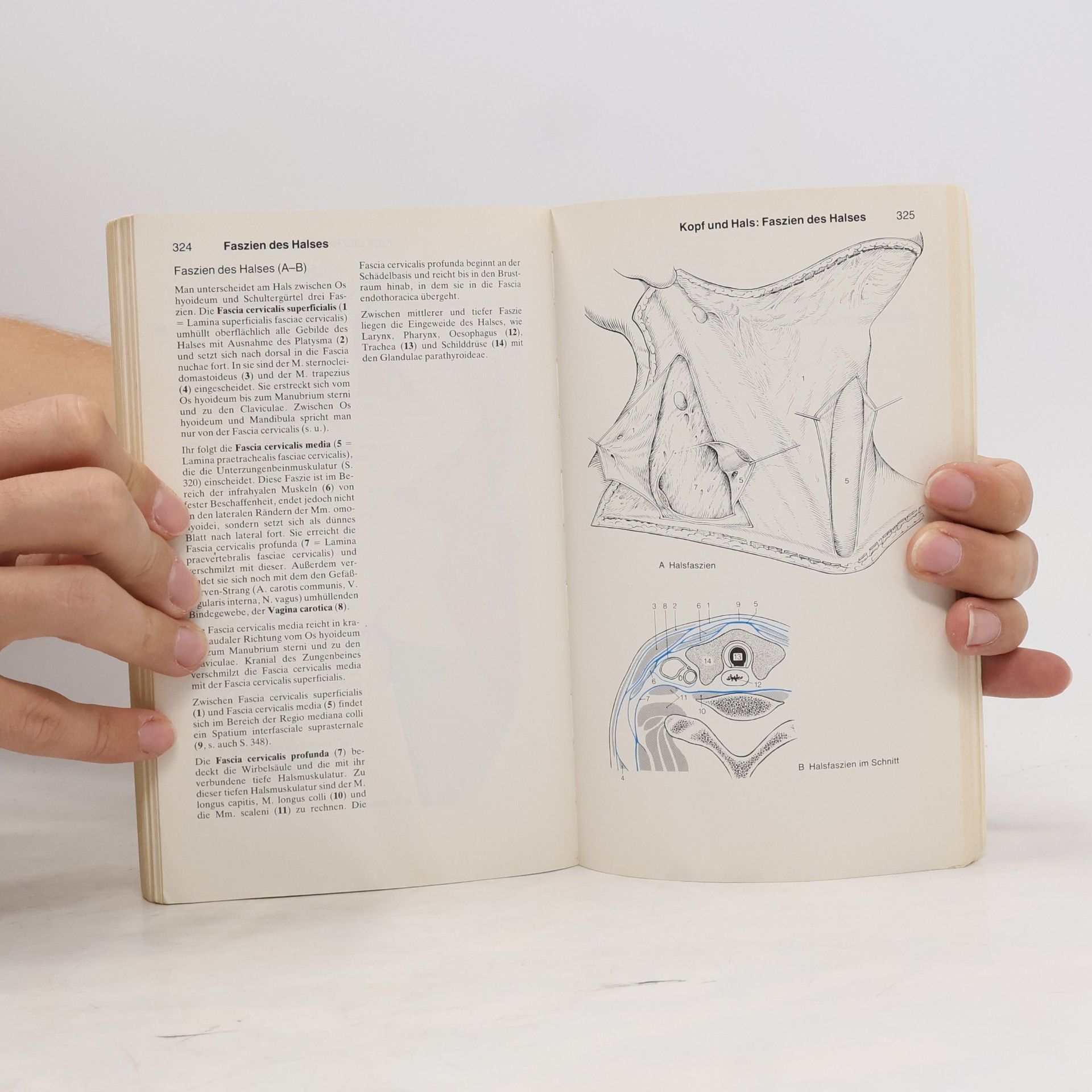 Werner Platzer dtv-Atlas der Anatomie