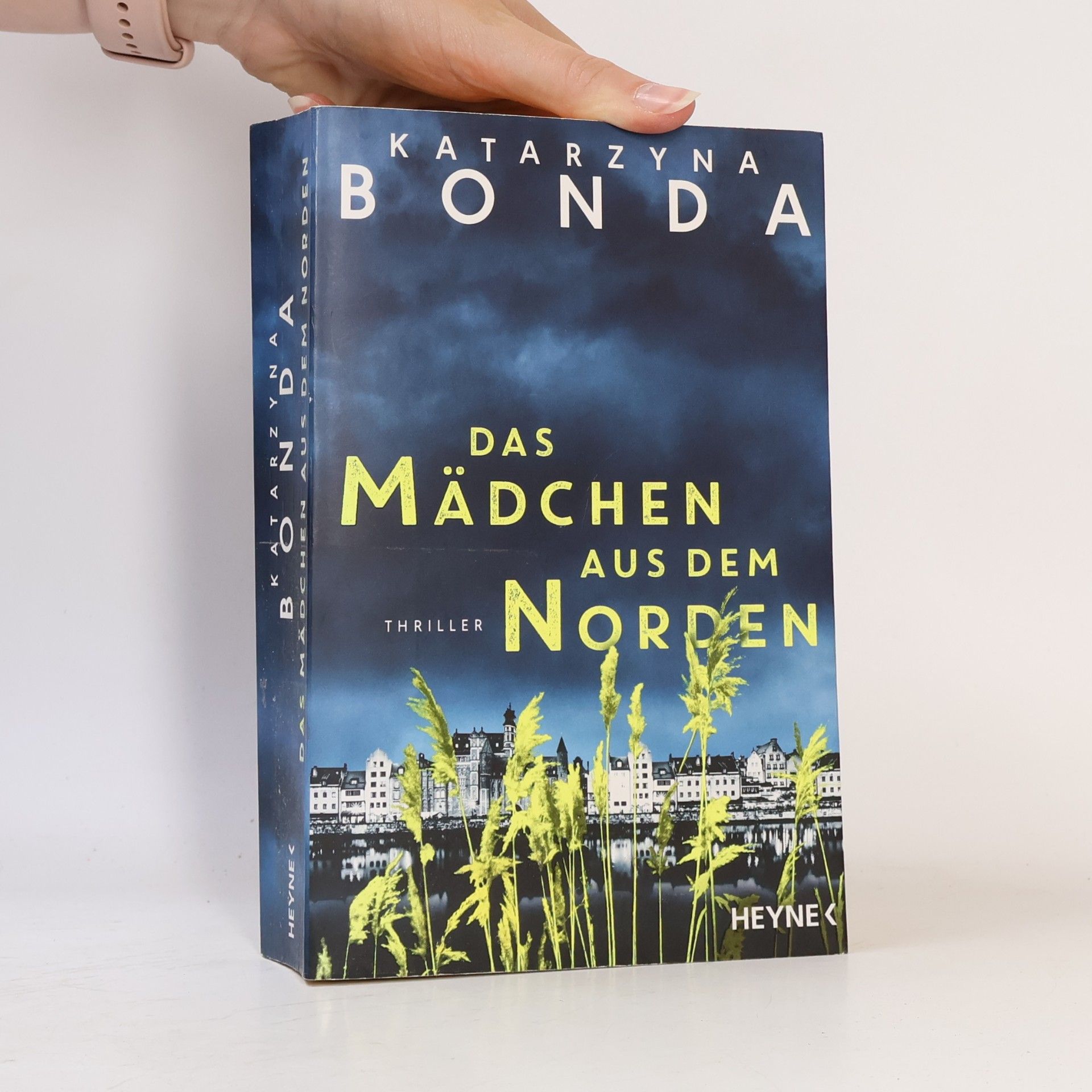 Katarzyna Bonda Das Mädchen aus dem Norden
