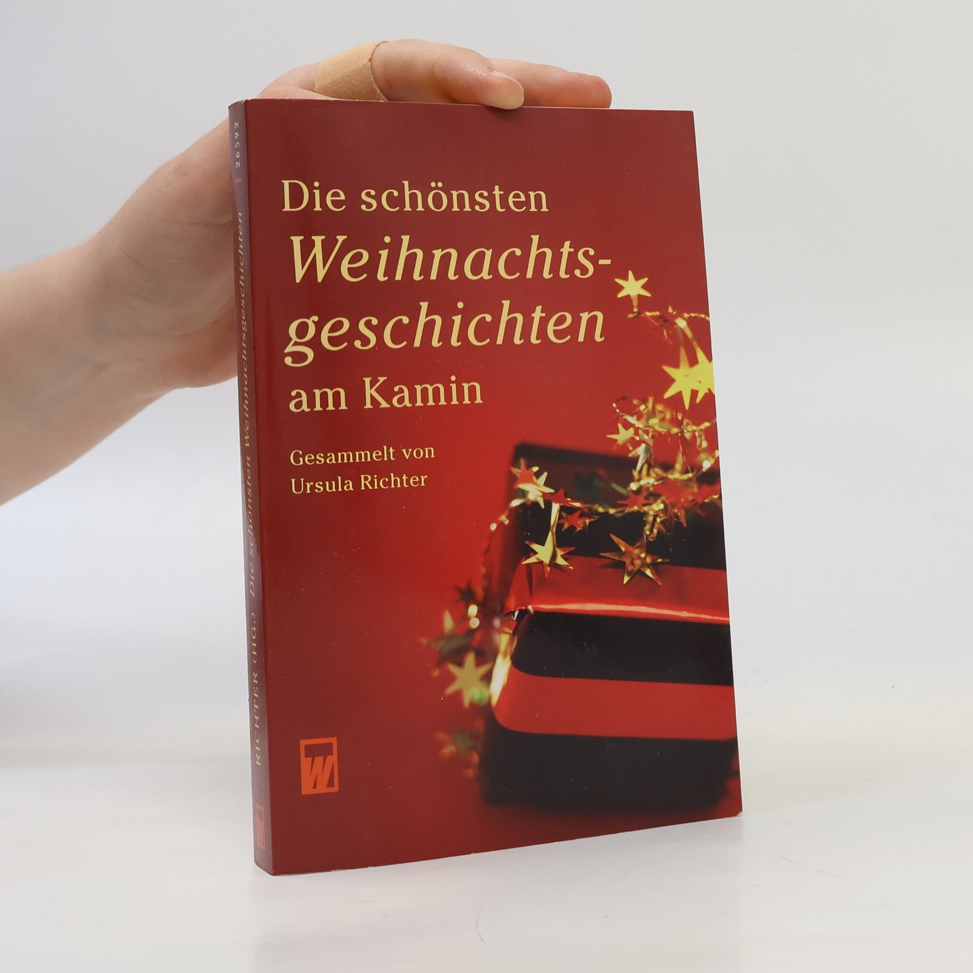 Ursula Richter Die schönsten Weihnachtsgeschichten am Kamin