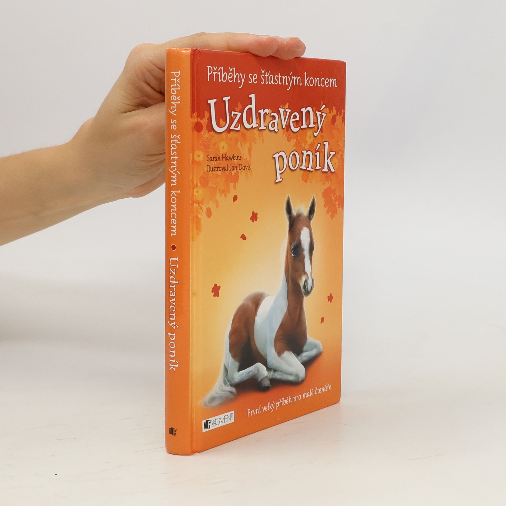 Eva Brožová Uzdravený poník
