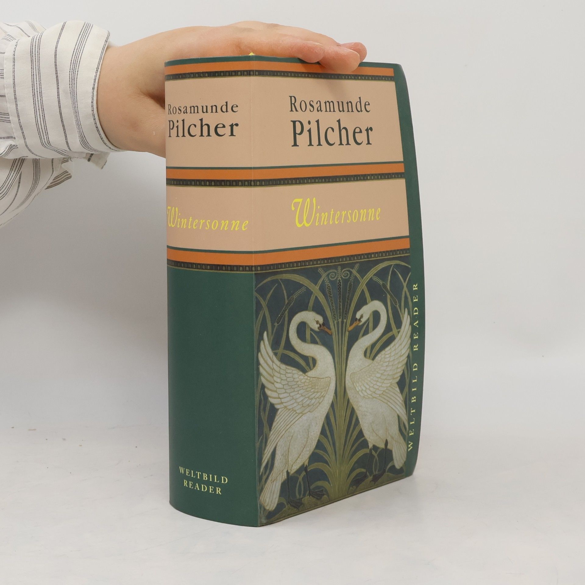 Rosamunde Pilcher Wintersonne