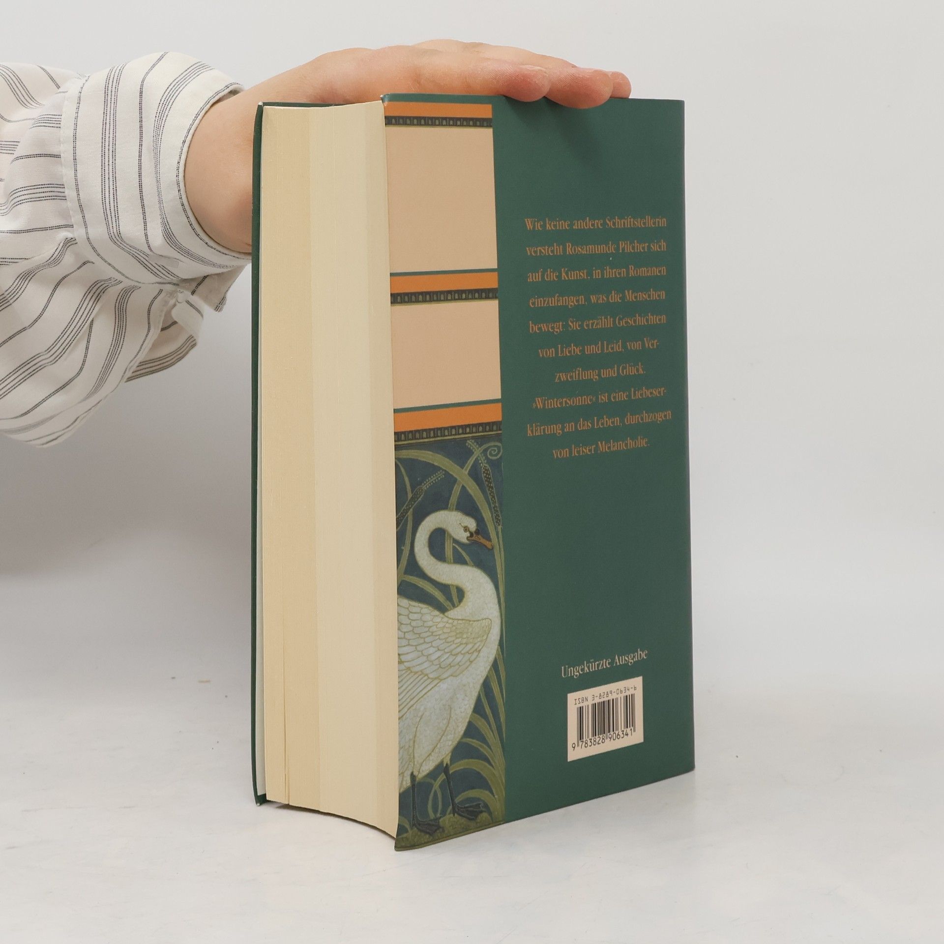 Rosamunde Pilcher Wintersonne
